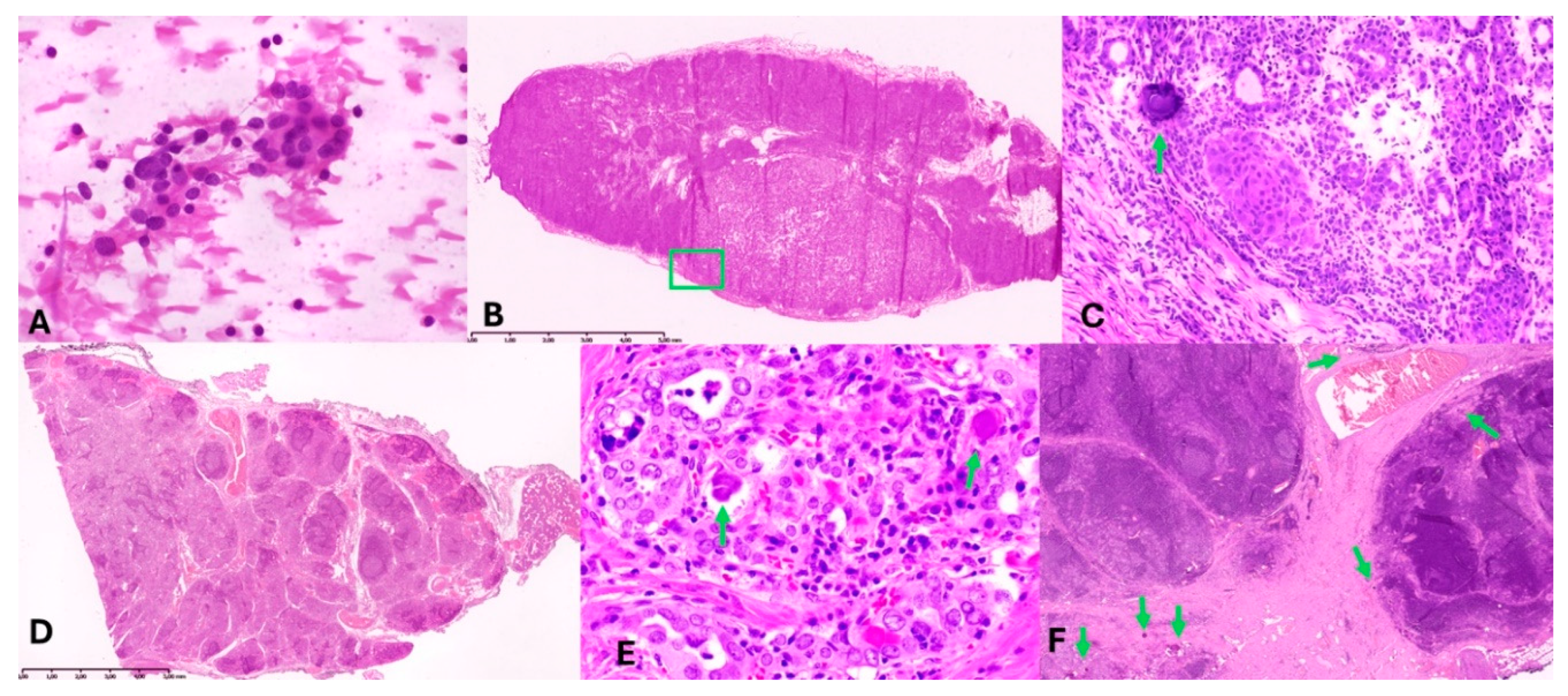 Preprints 145359 g002