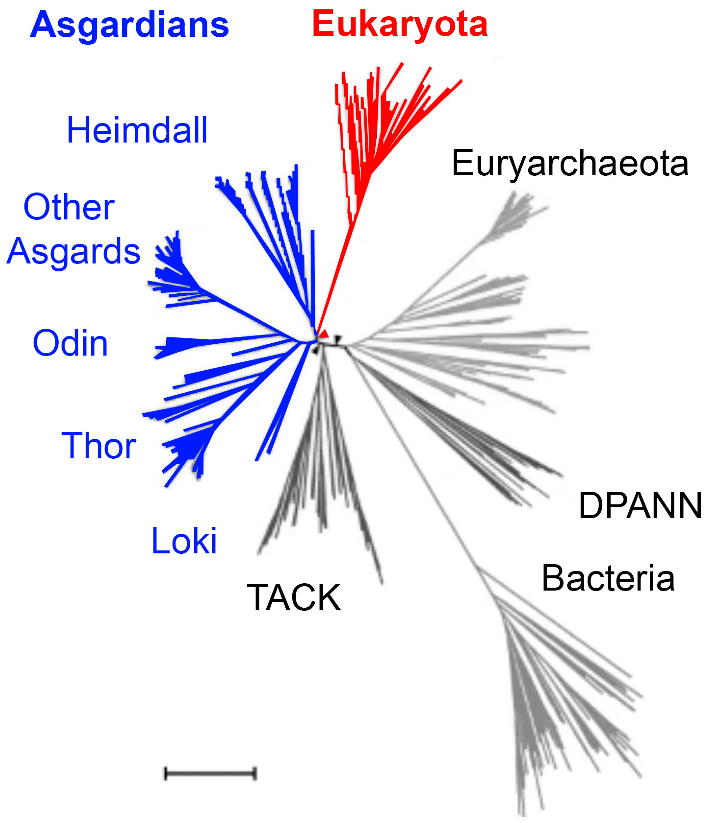 Preprints 181823 g003