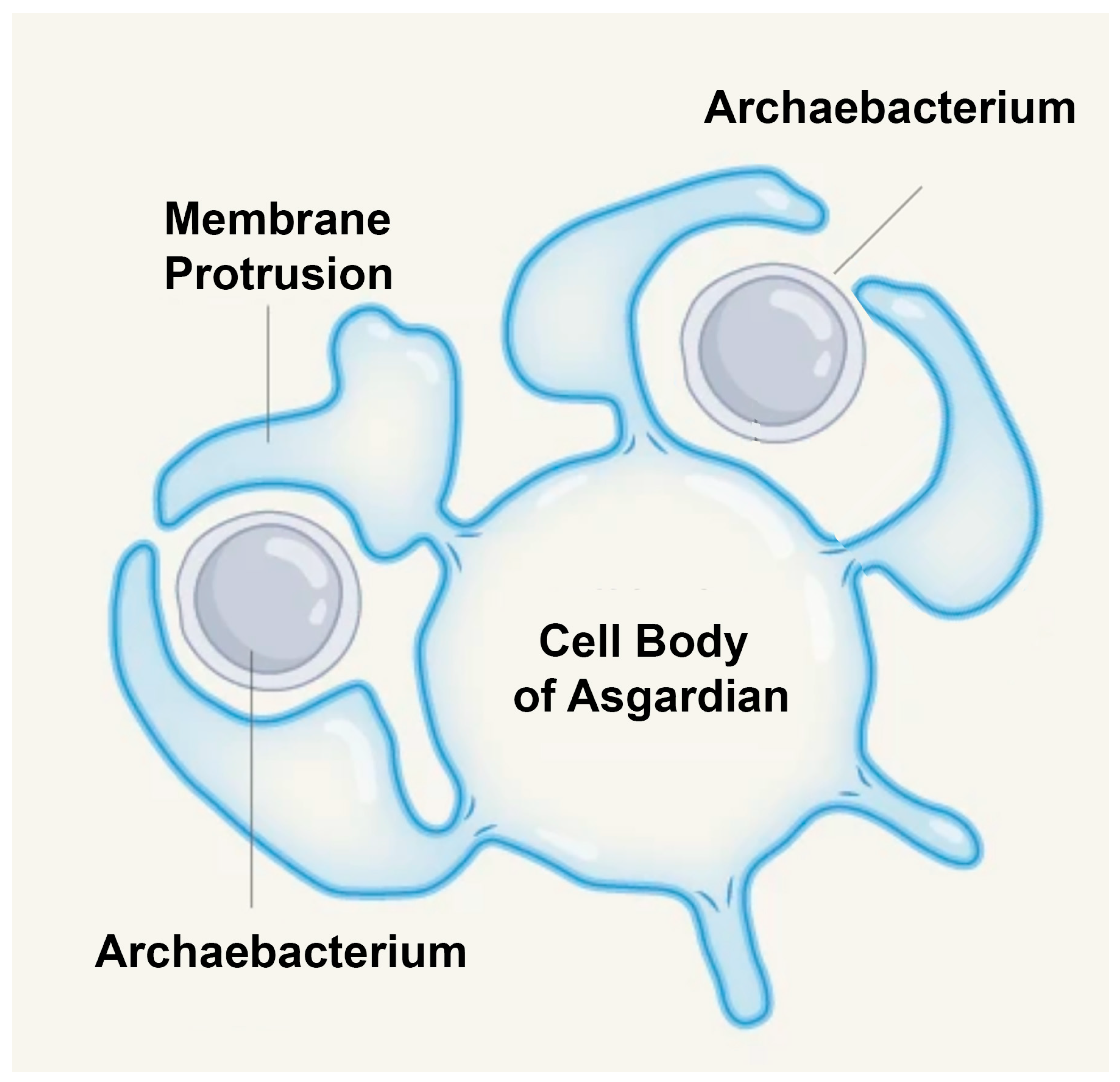 Preprints 181823 g004