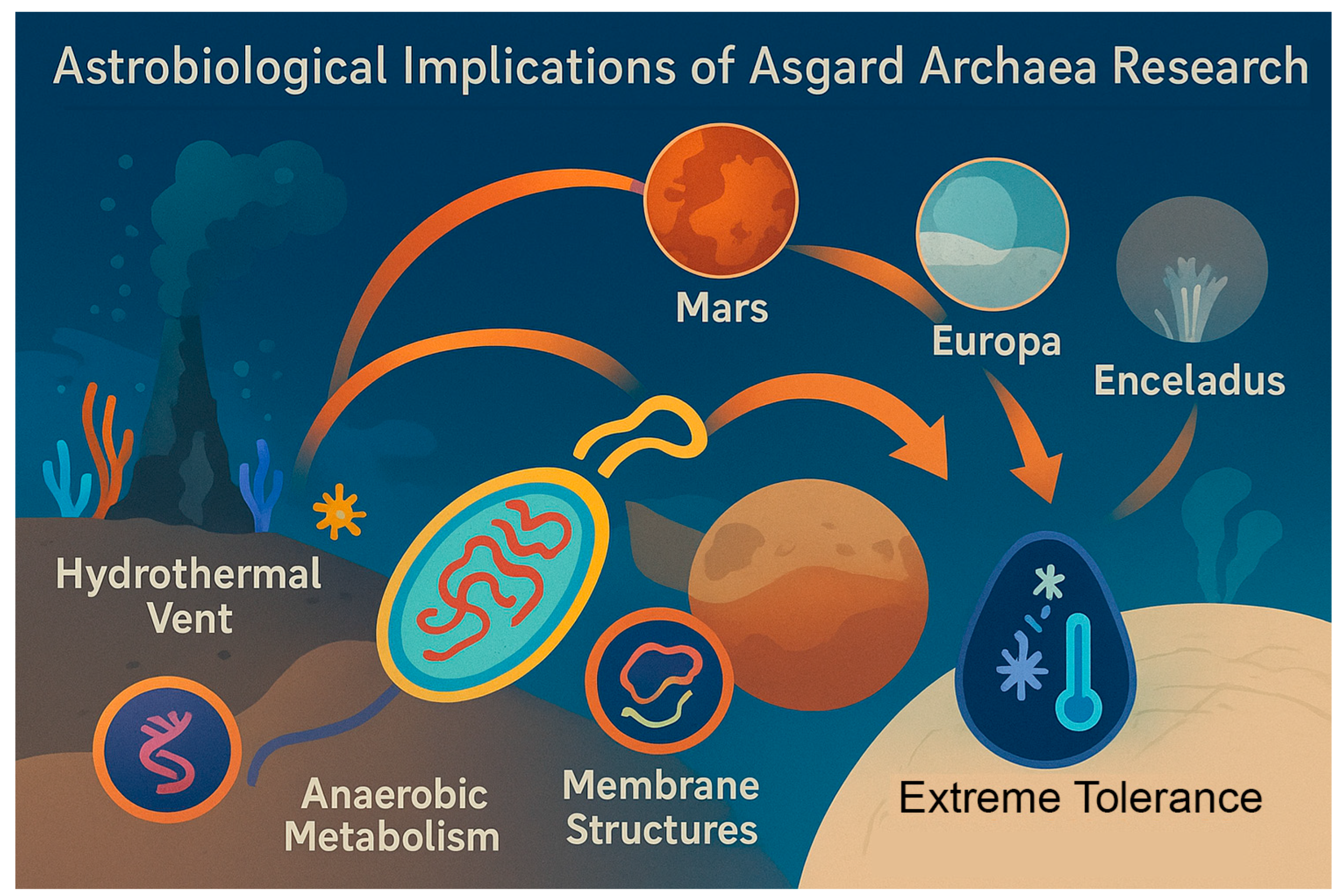 Preprints 181823 g006
