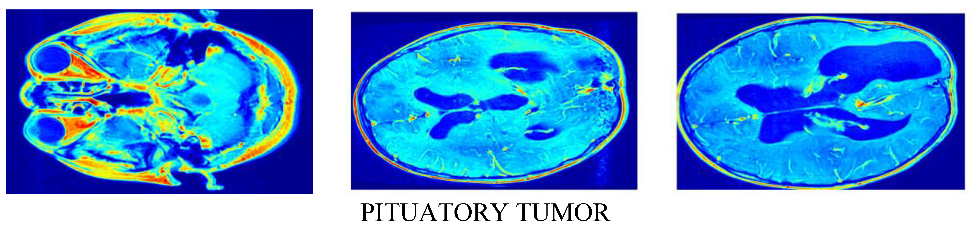Preprints 152510 g005b