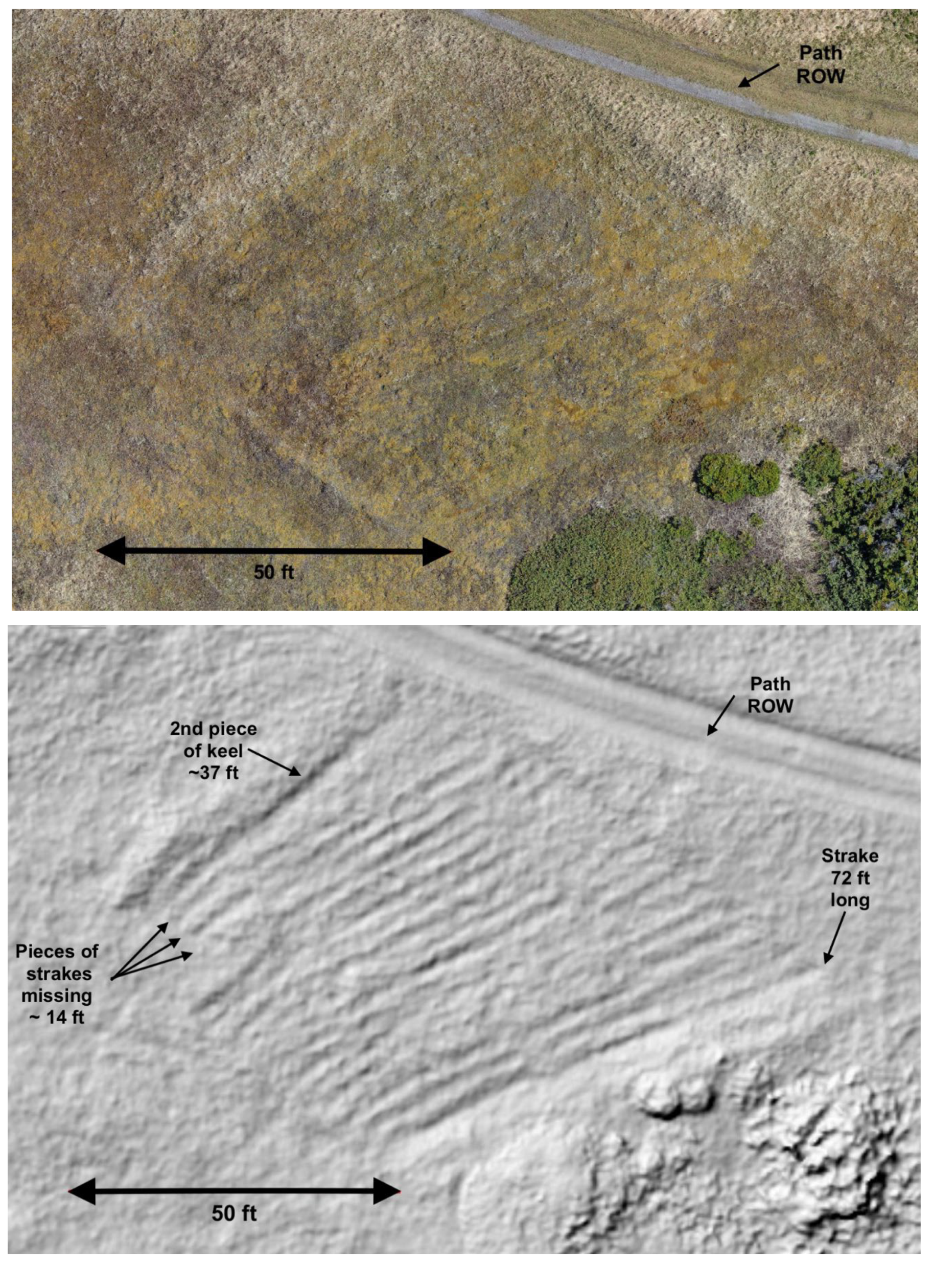 Preprints 67571 g004