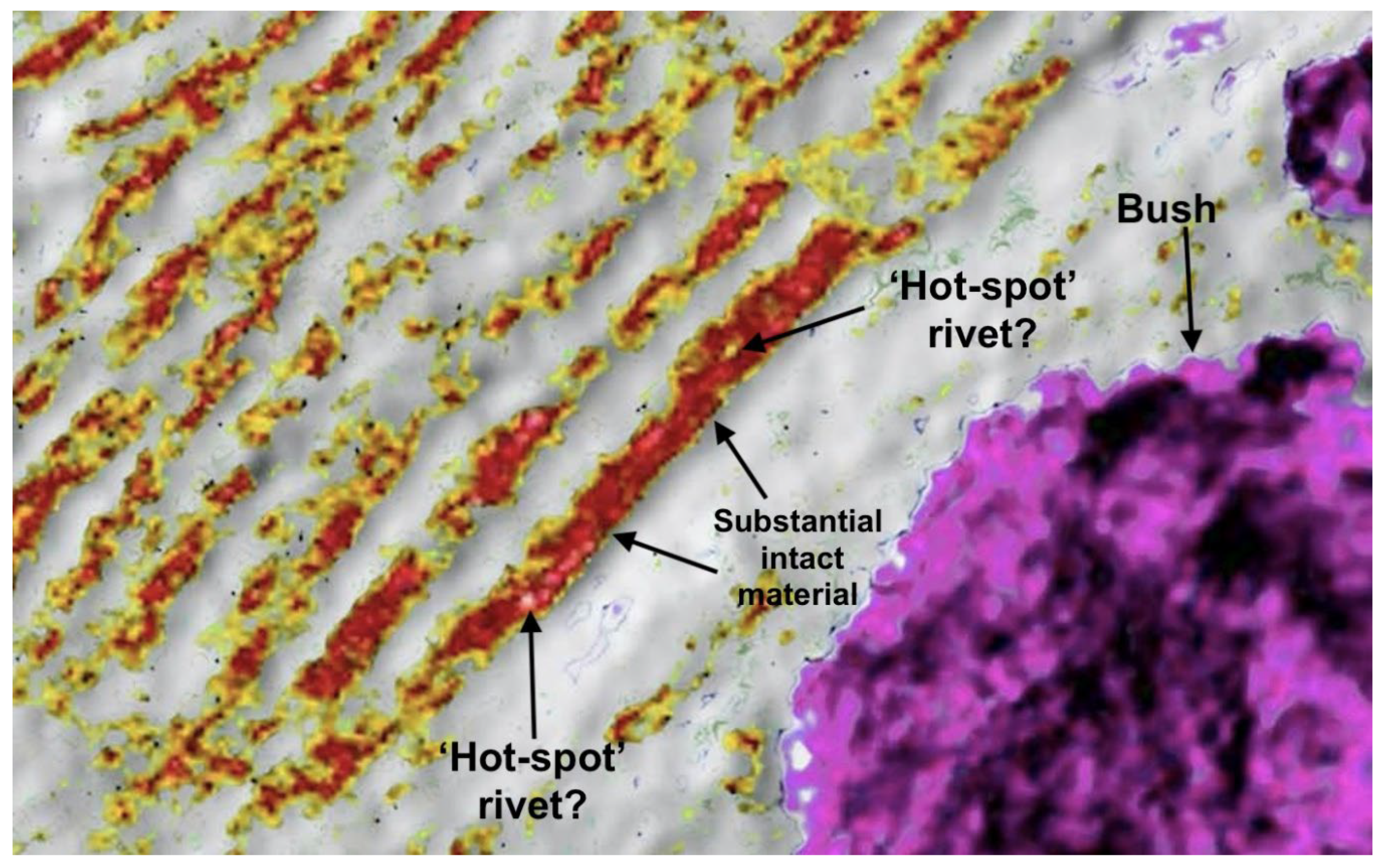 Preprints 67571 g006