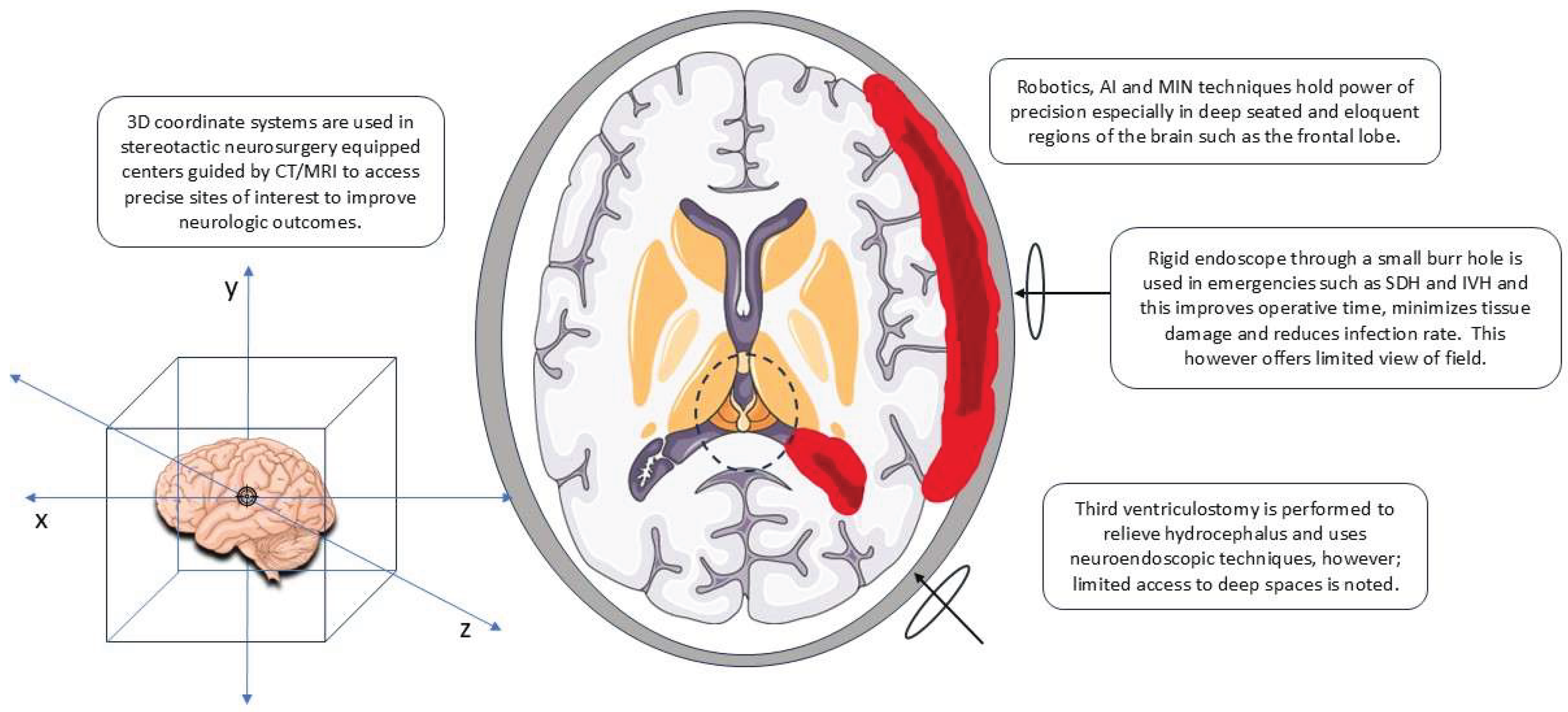 Preprints 171168 g002