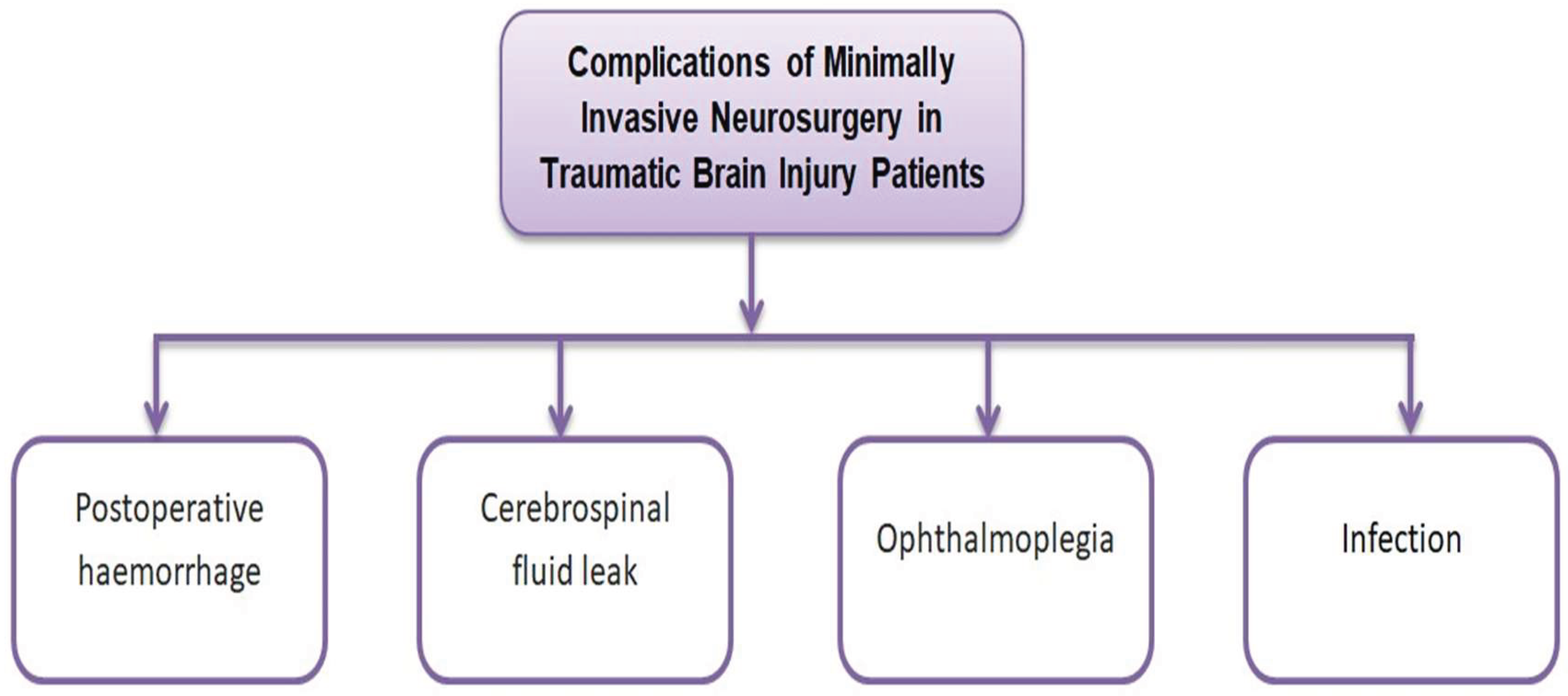 Preprints 171168 g004