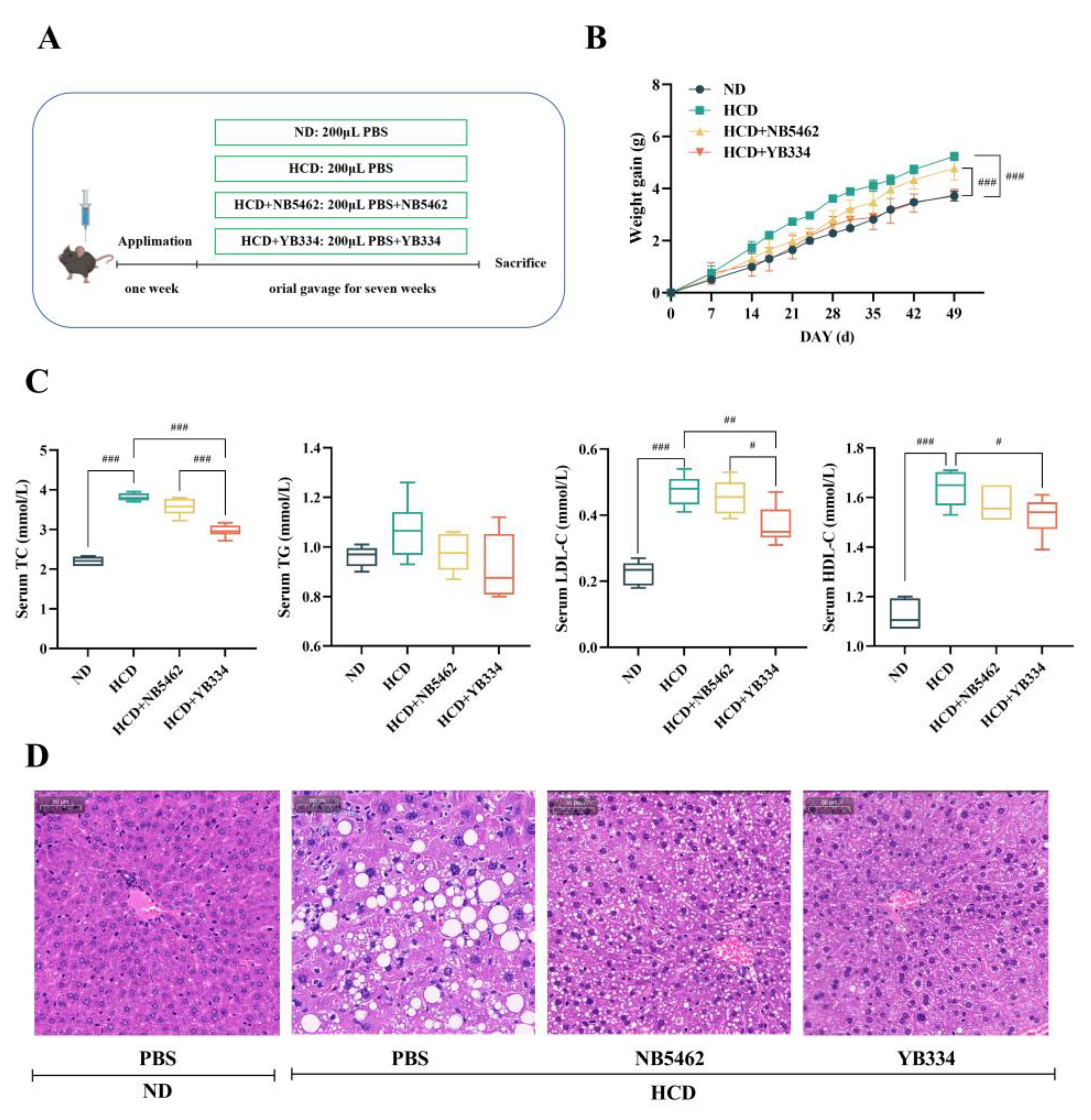 Preprints 175782 g001