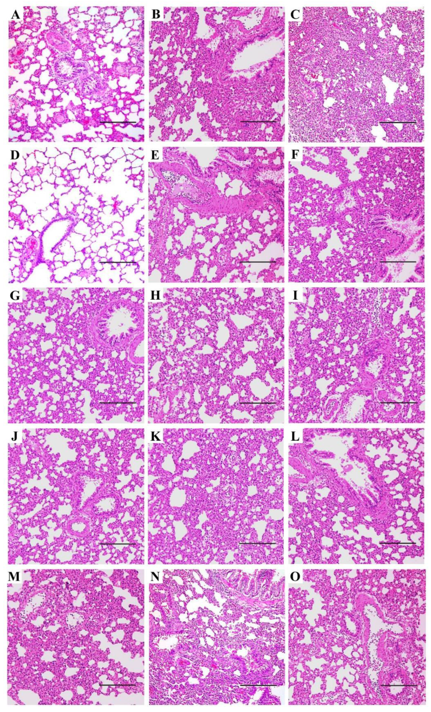 Preprints 151024 g004