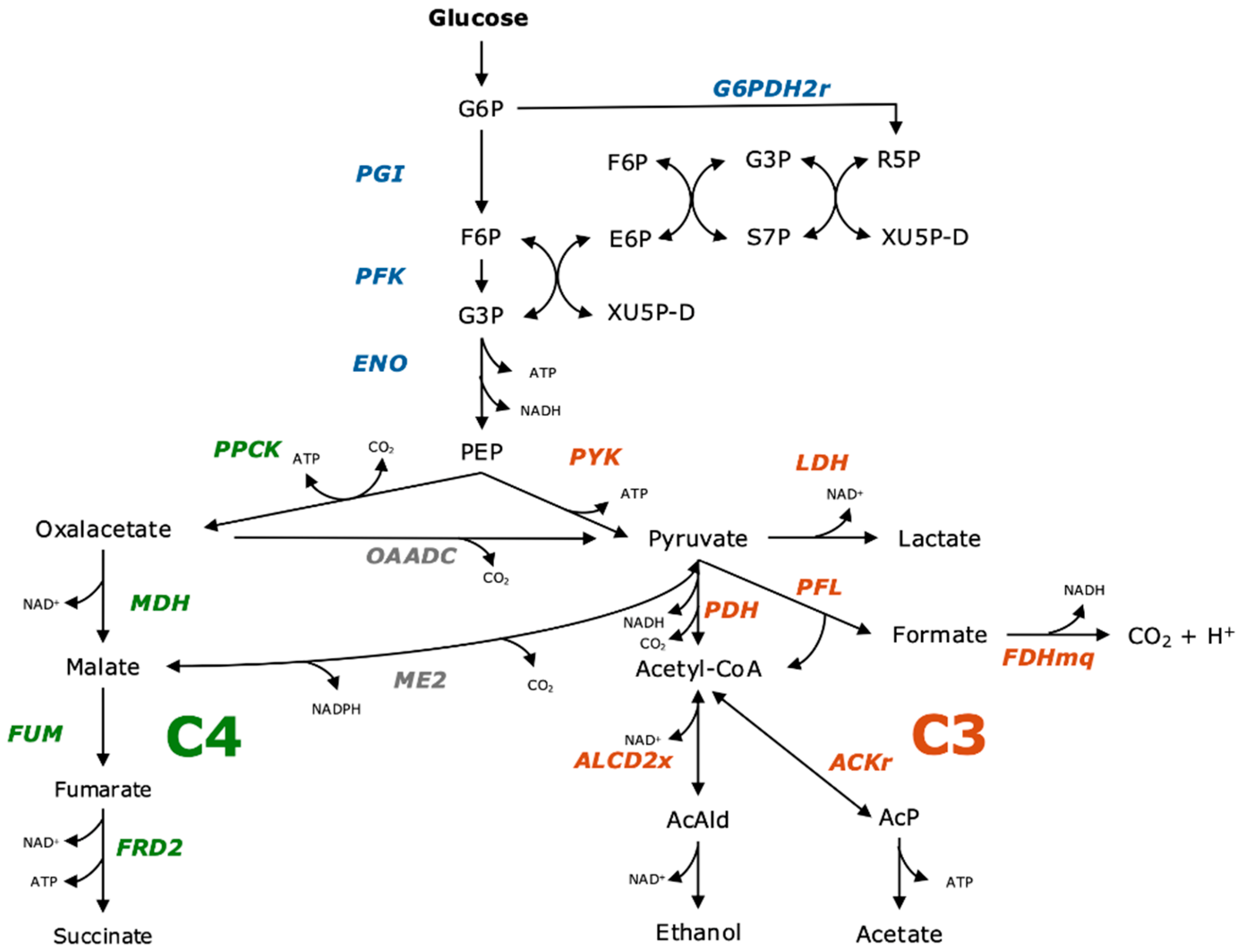 Preprints 153939 g001