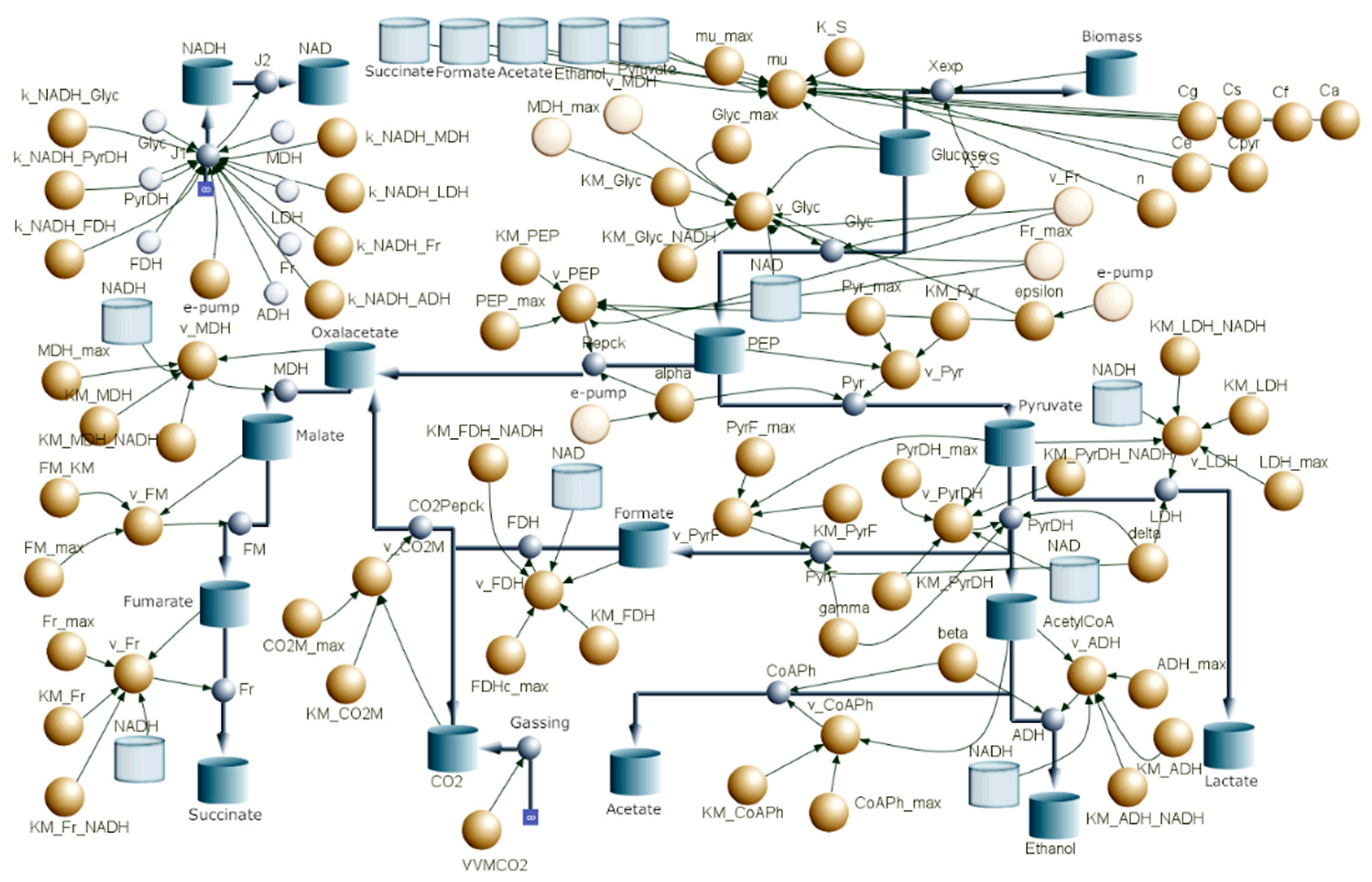 Preprints 153939 g007
