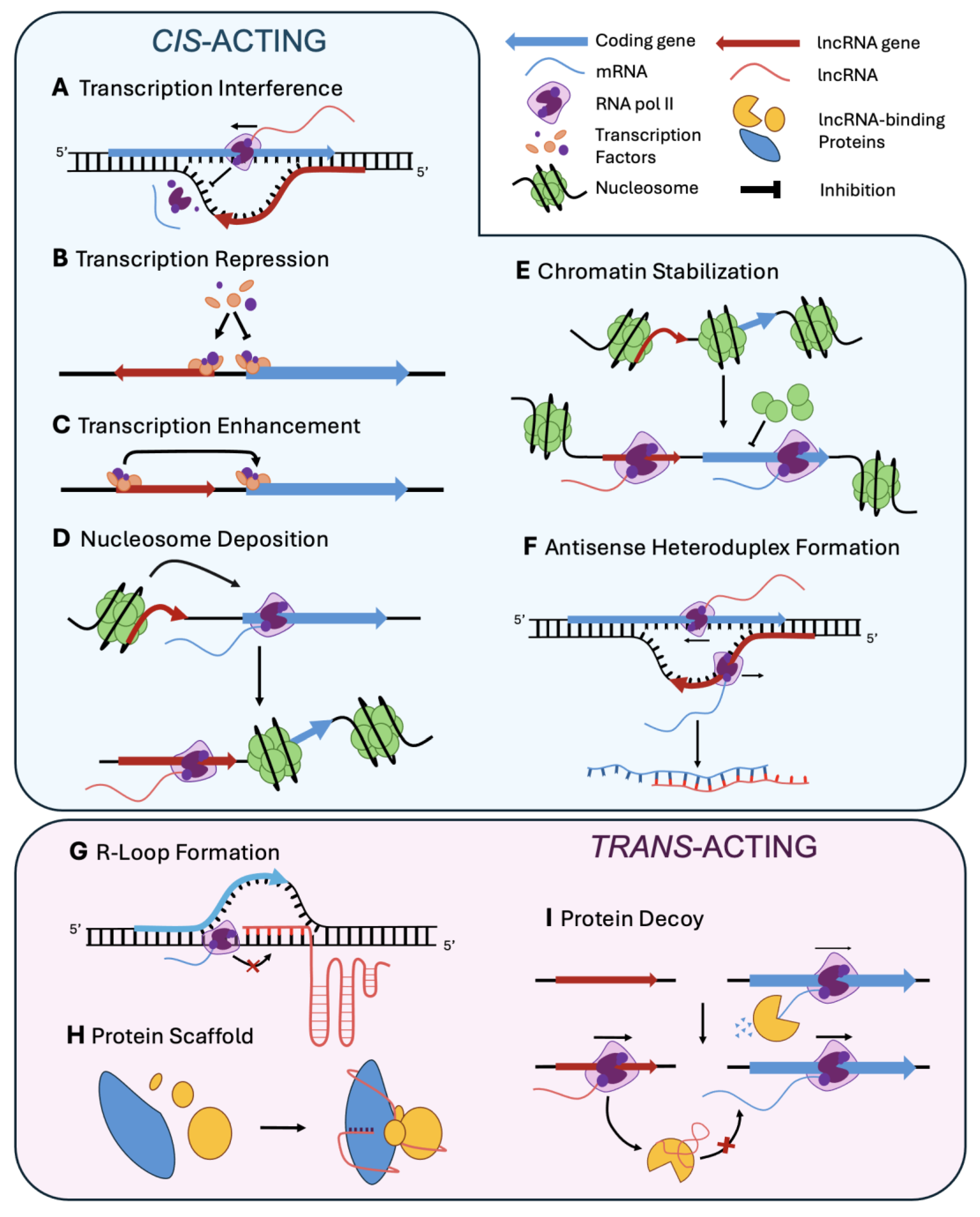 Preprints 171716 g002