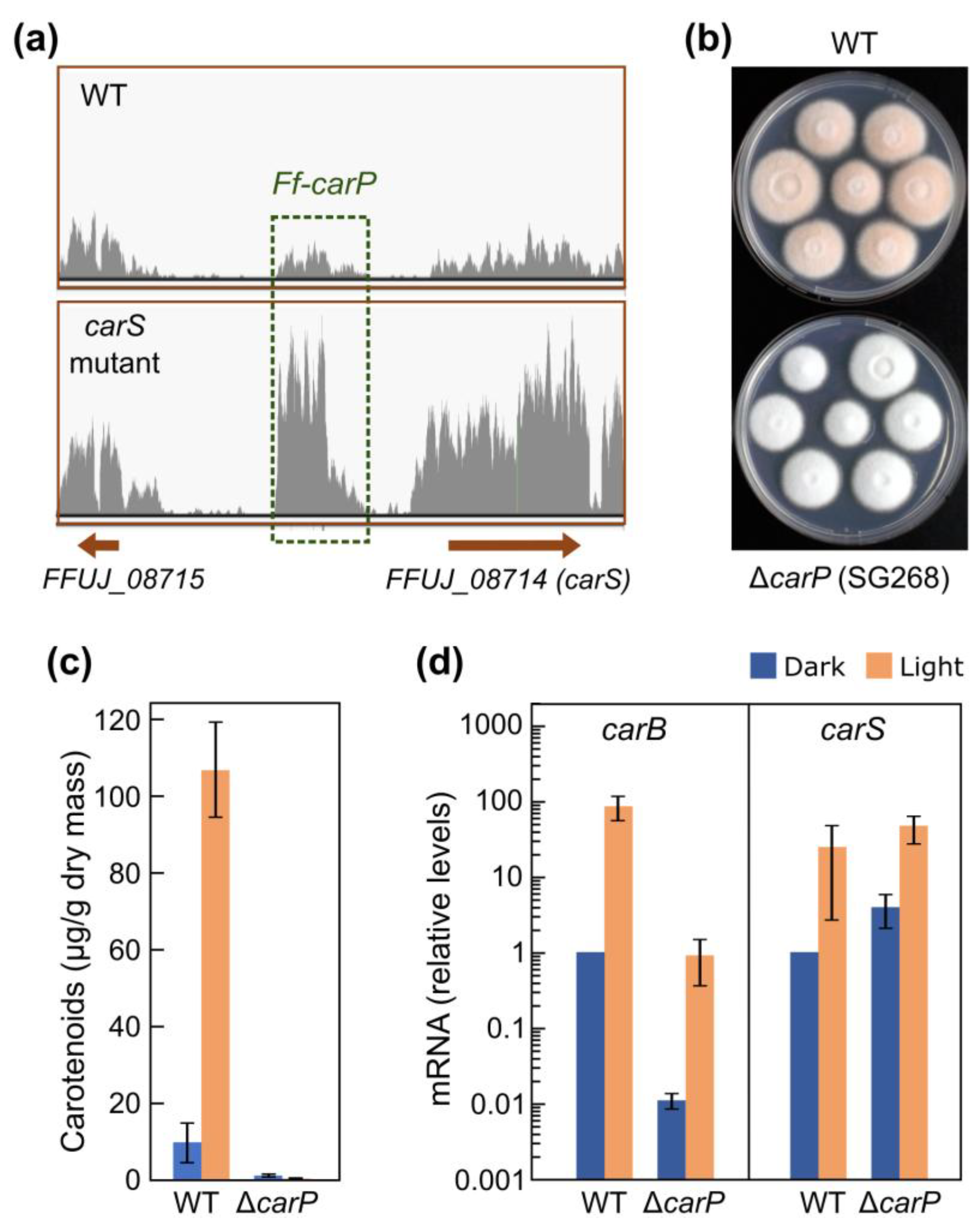 Preprints 171716 g003