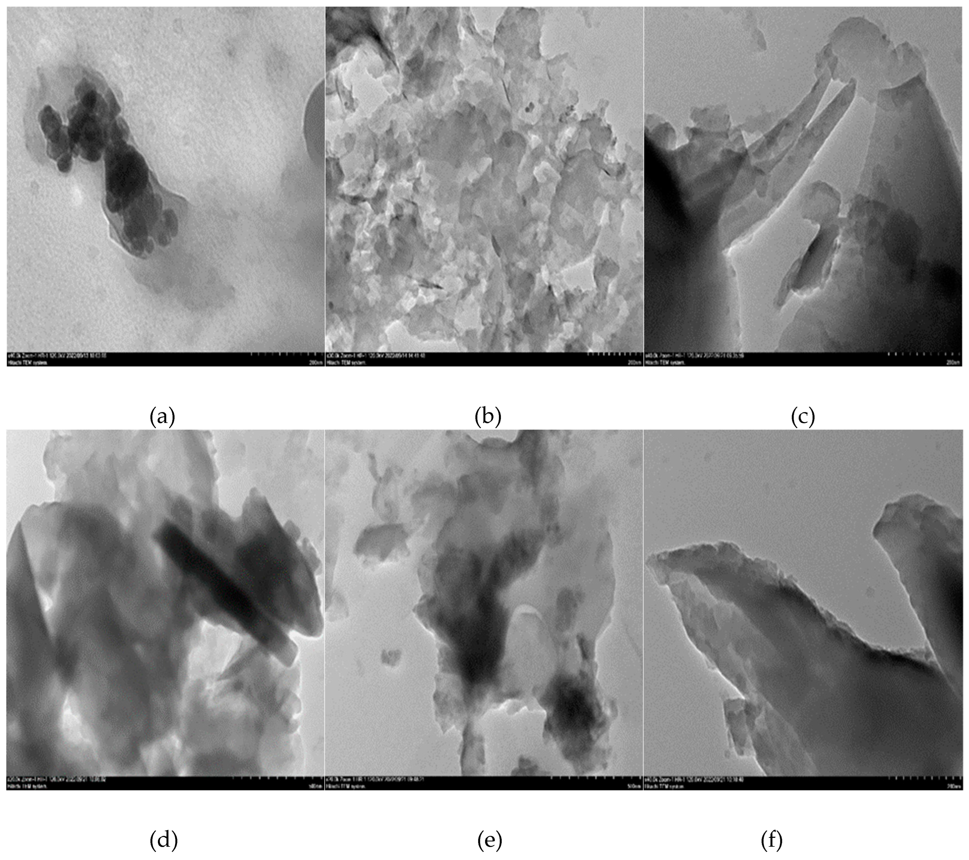 Preprints 84345 g002