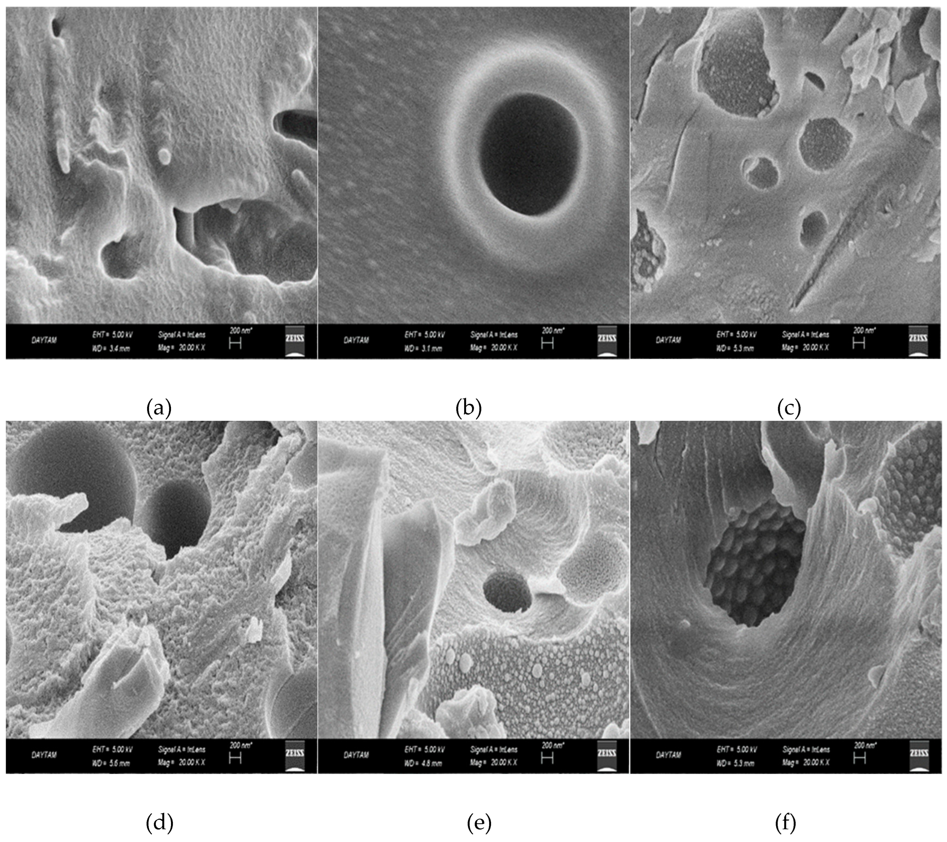 Preprints 84345 g003