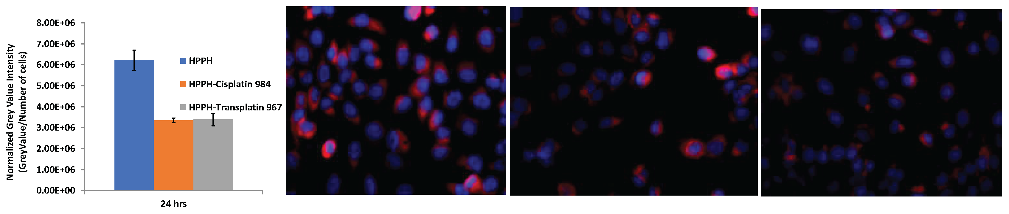 Preprints 219225 g004 Preprints 219225 g004
