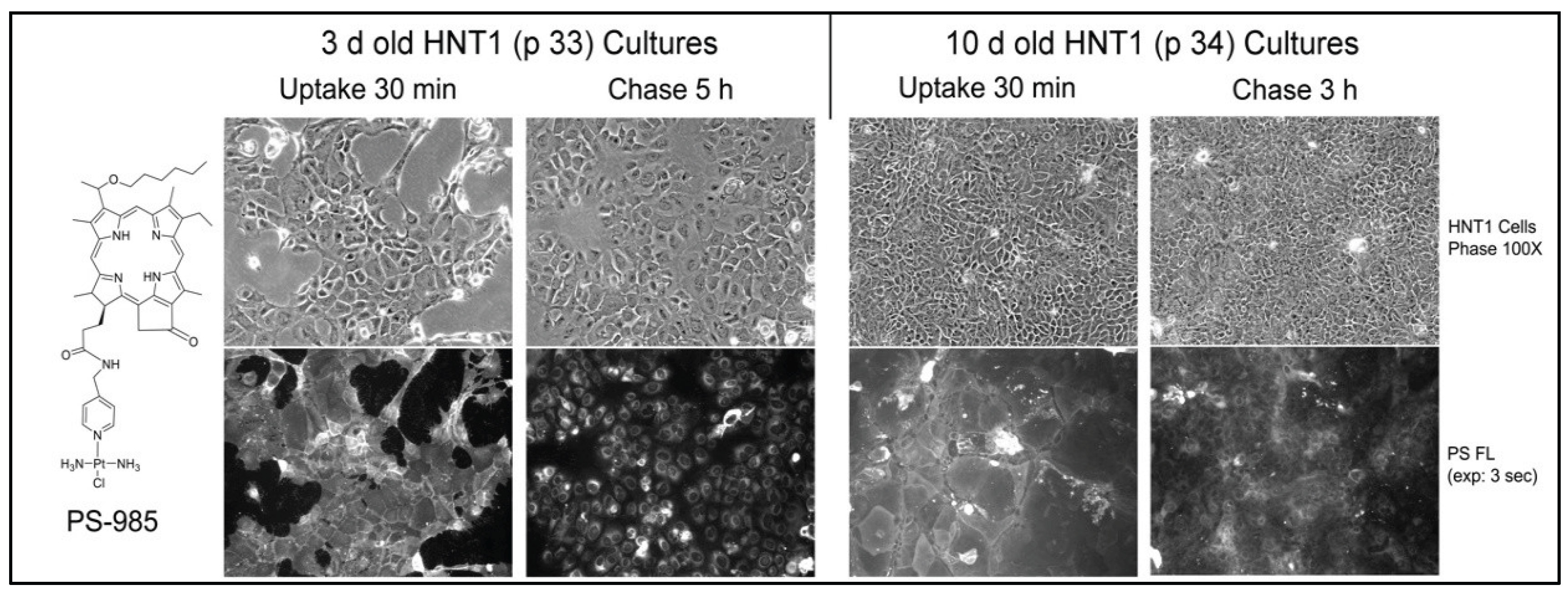 Preprints 219225 g007 Preprints 219225 g007