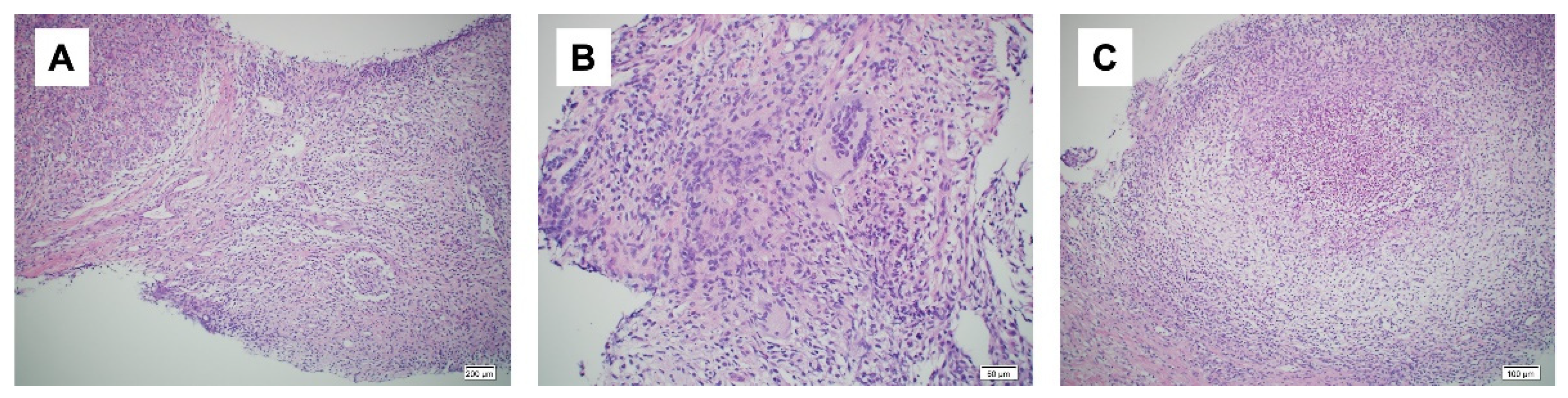 Preprints 79149 g003