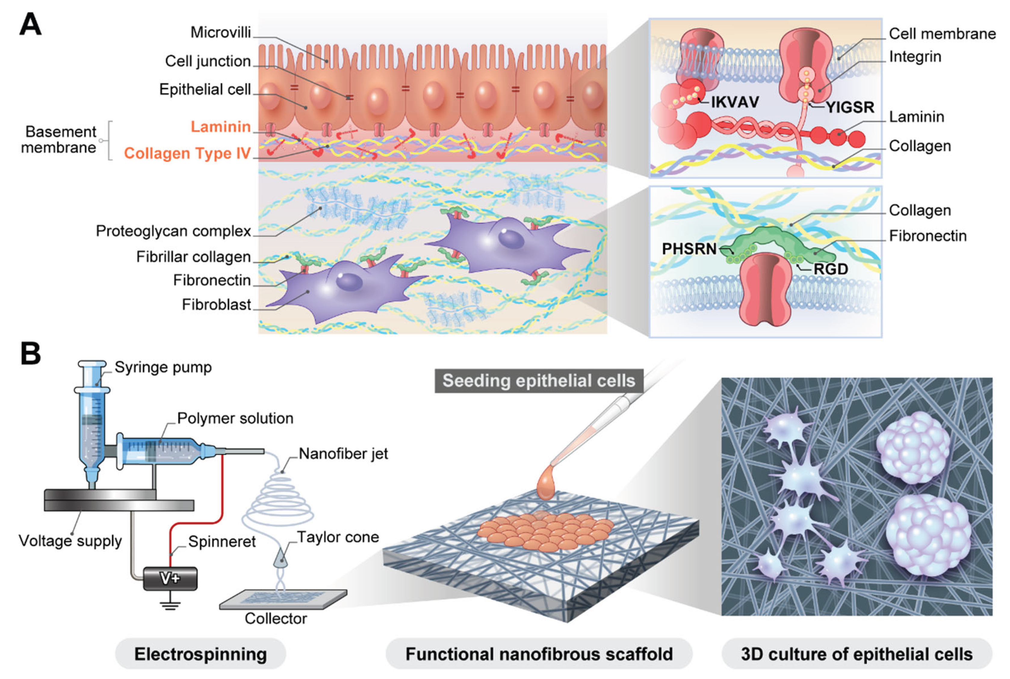 Preprints 177290 g001