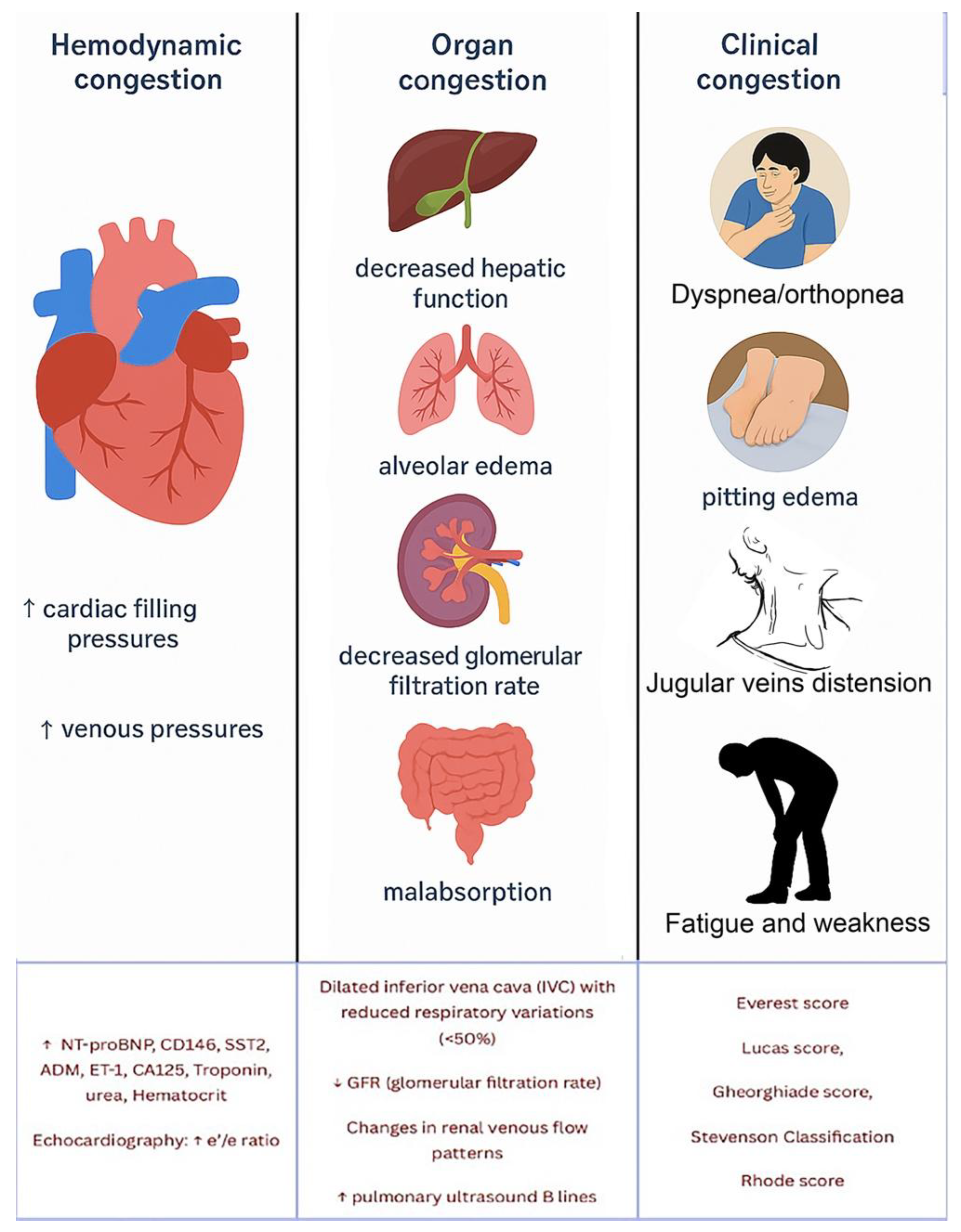 Preprints 180537 g001
