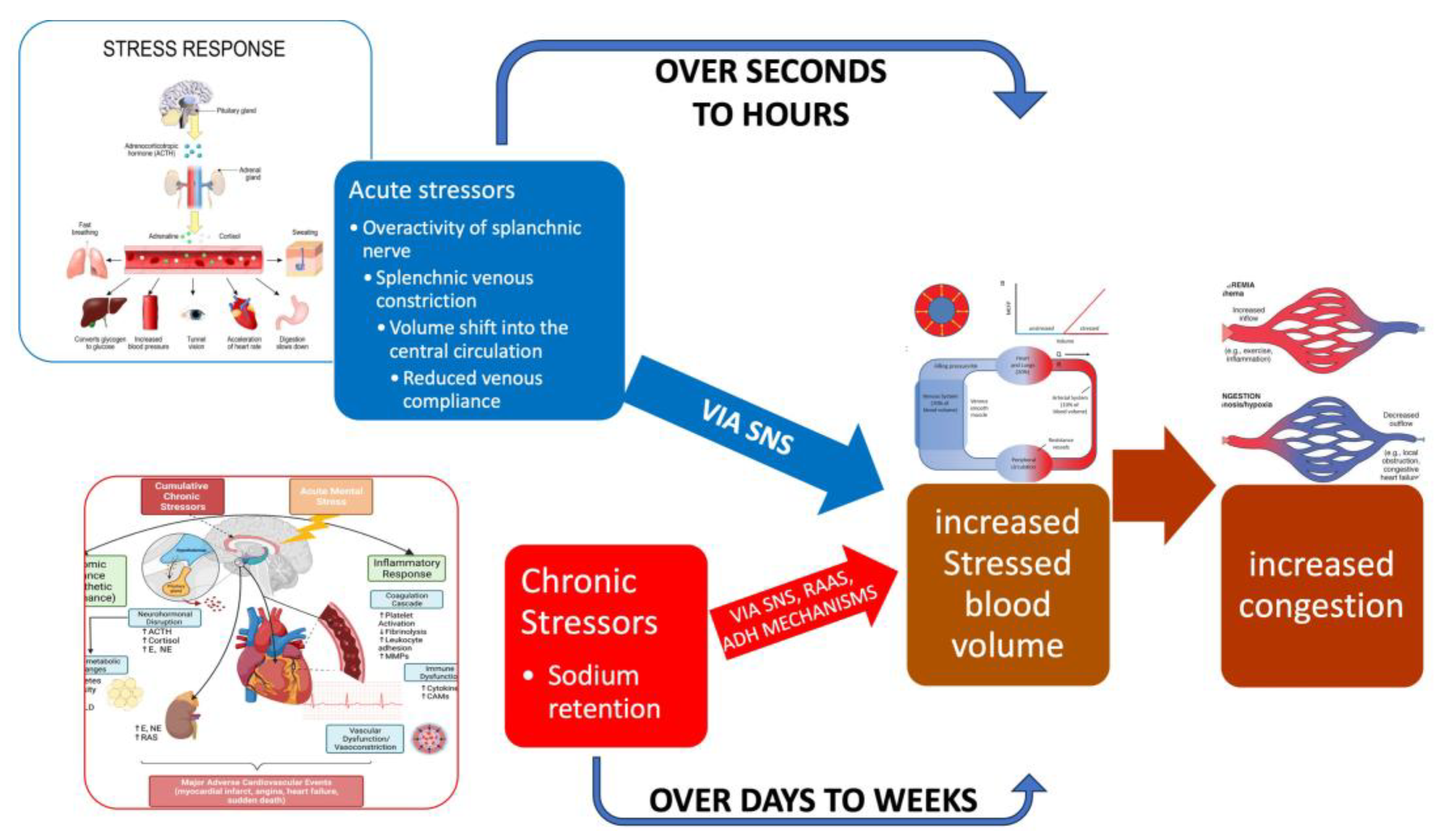 Preprints 180537 g002