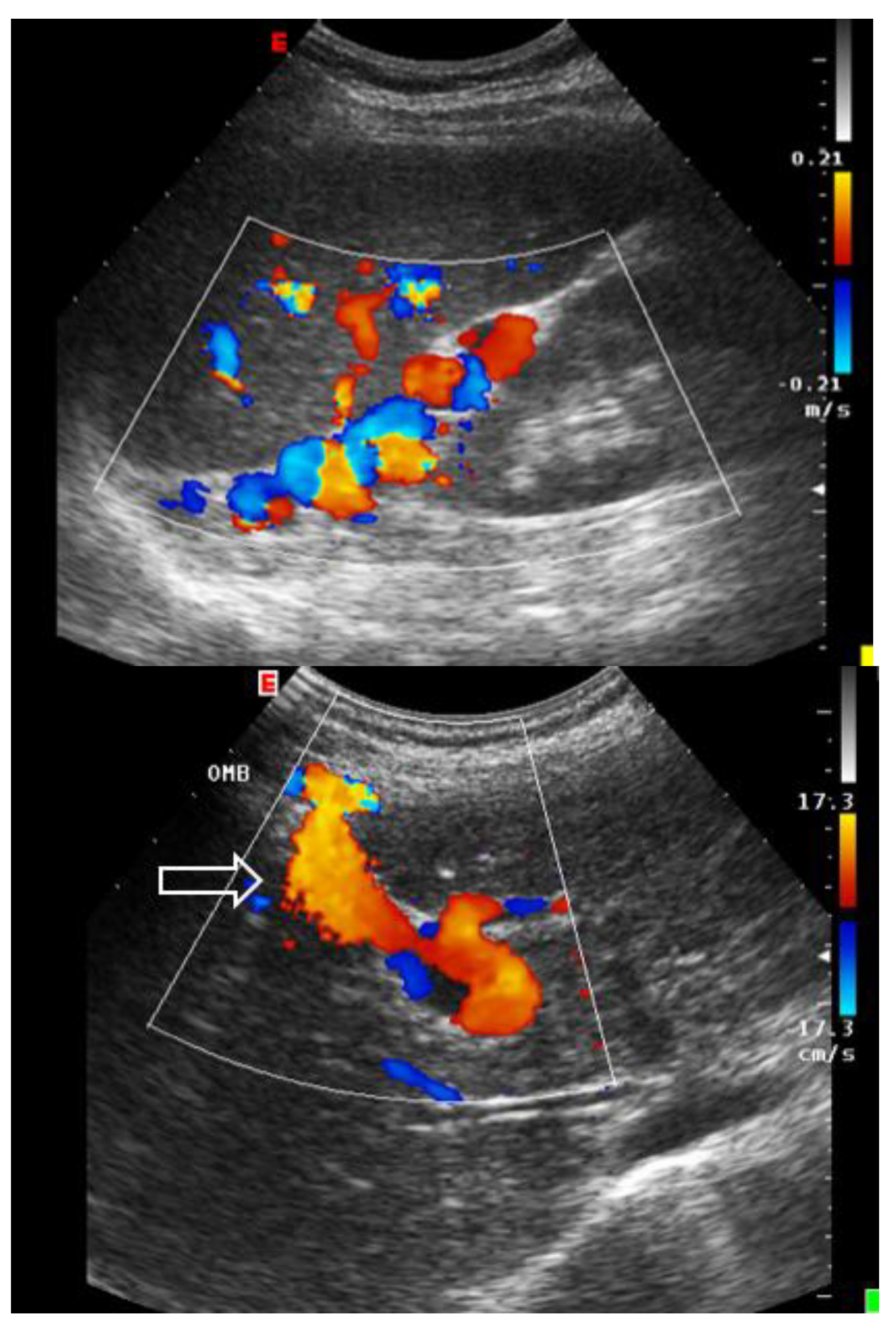 Preprints 180537 g008