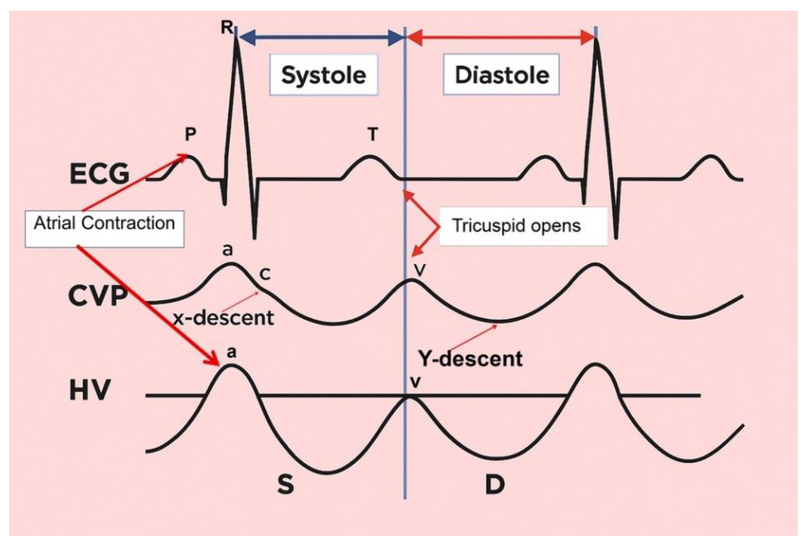Preprints 180537 g011