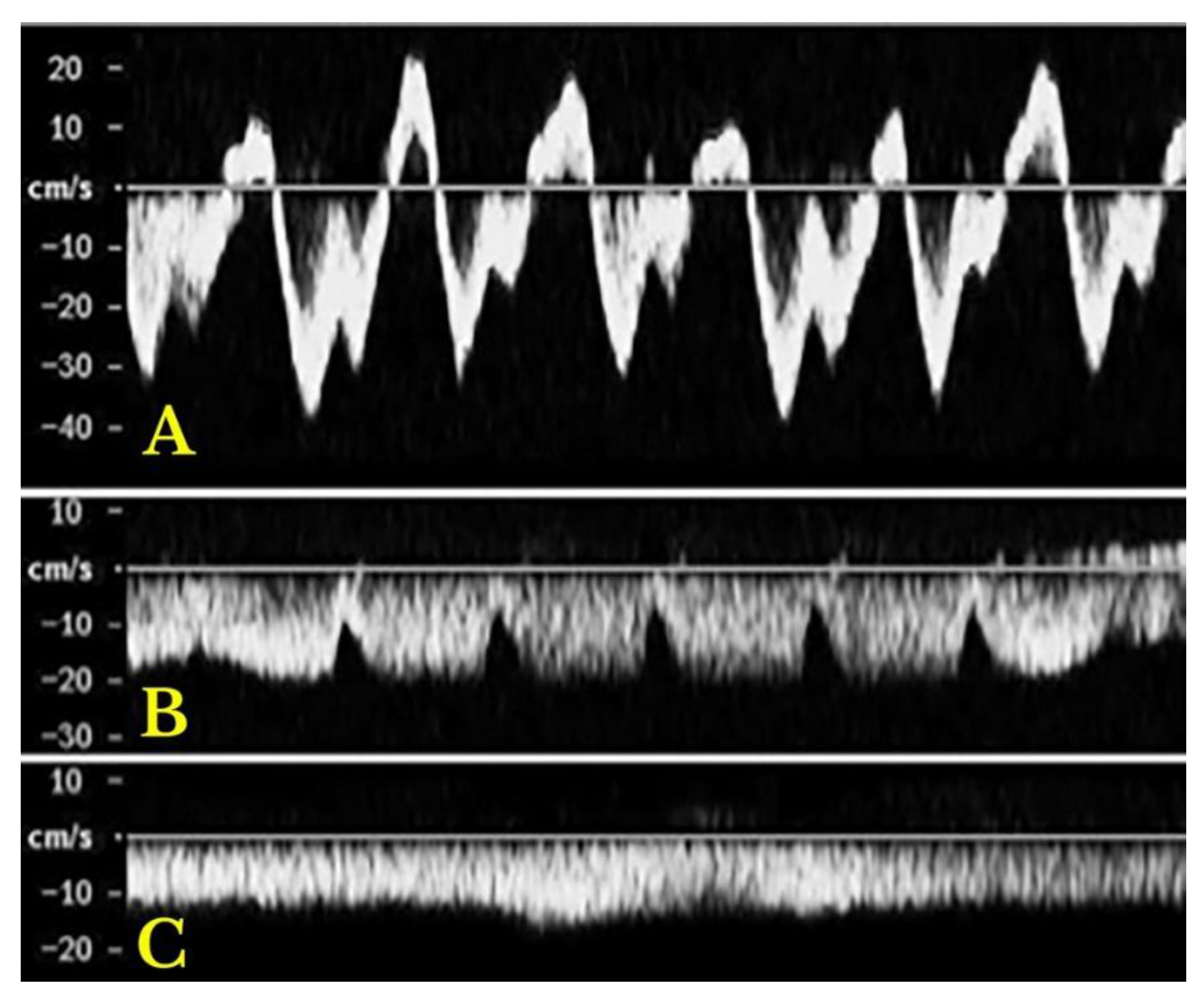 Preprints 180537 g012