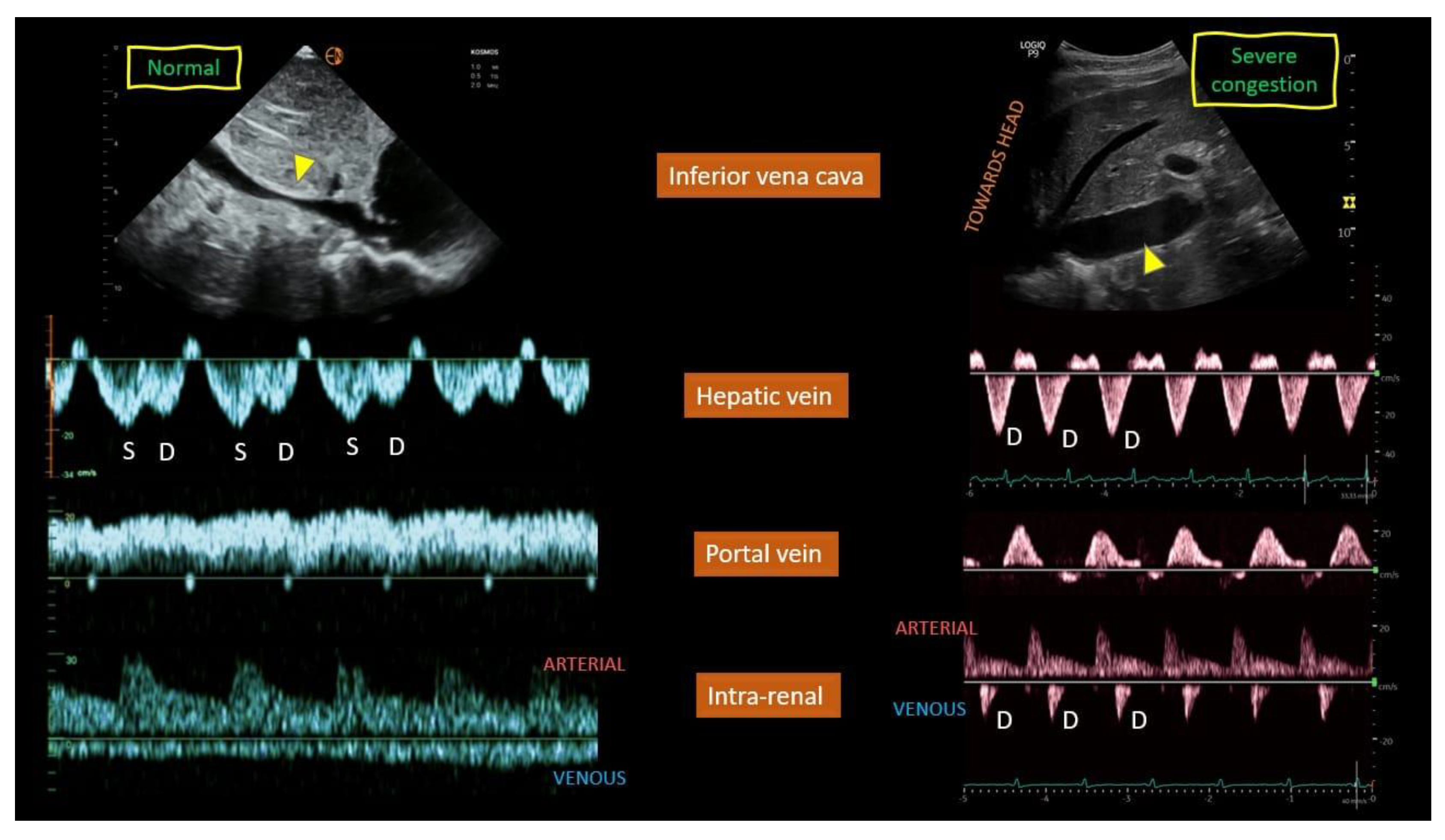 Preprints 180537 g014