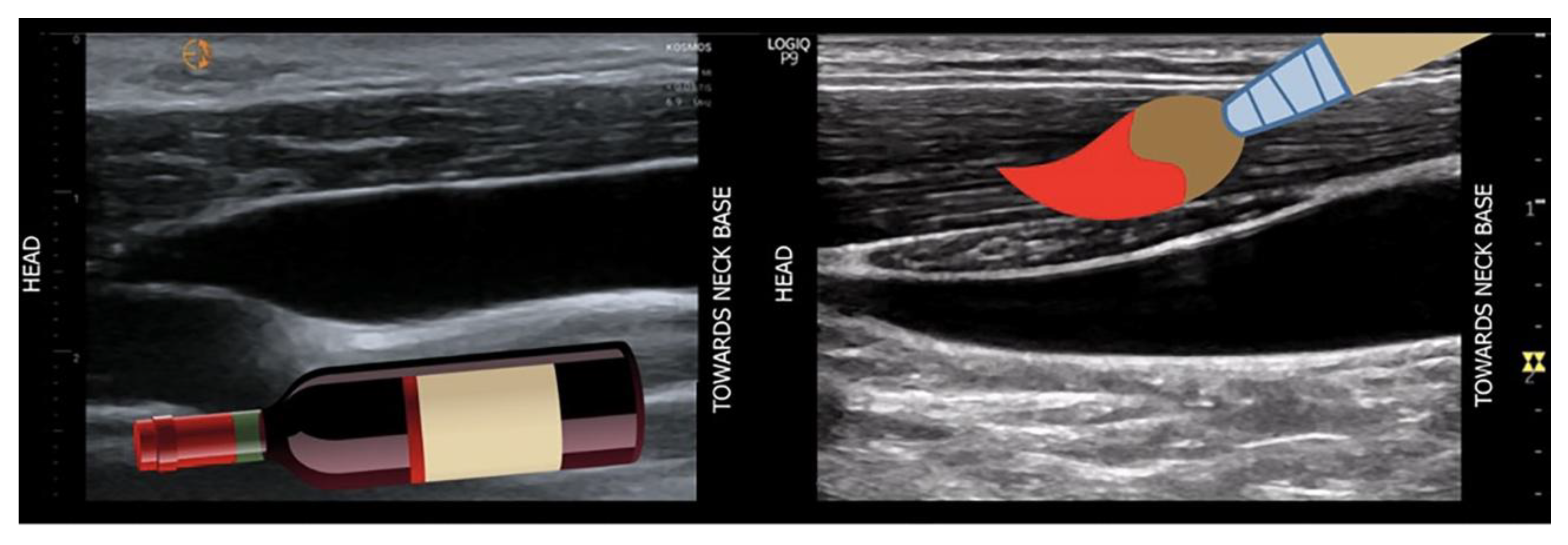 Preprints 180537 g016