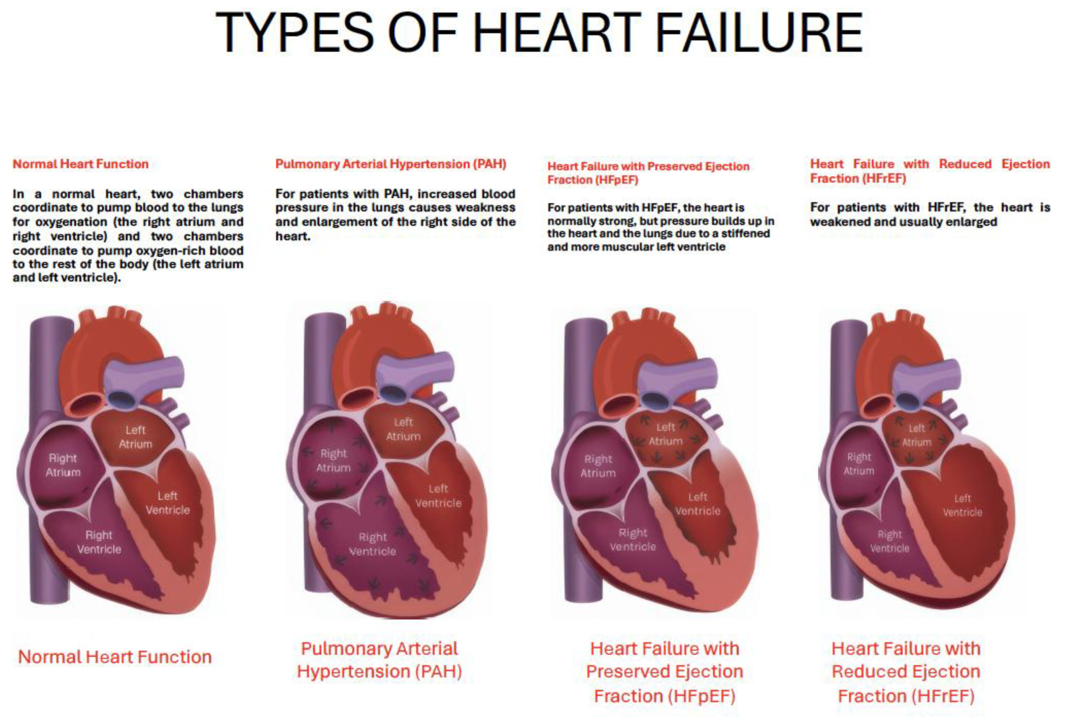 Preprints 180537 g018