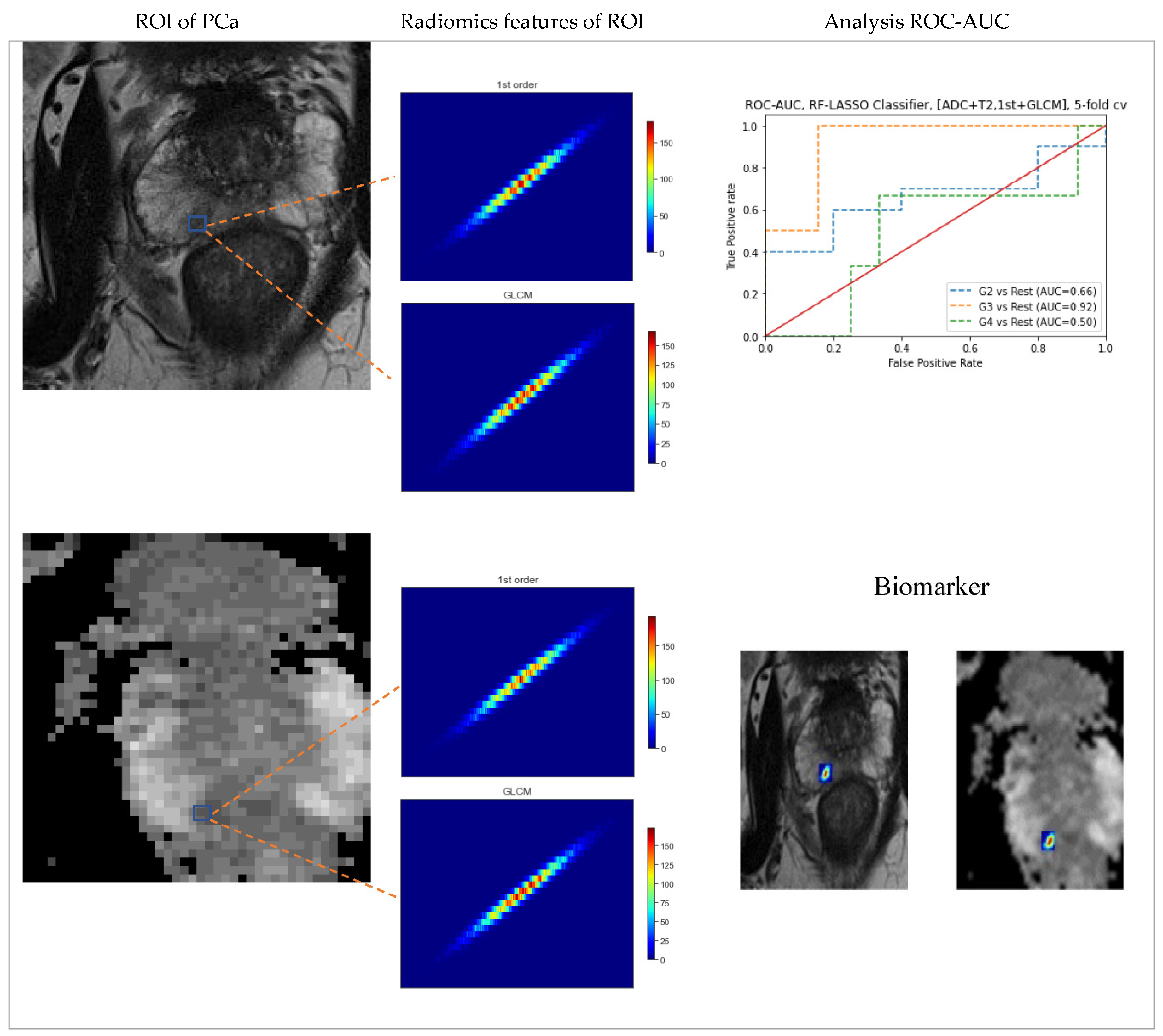 Preprints 91568 g002