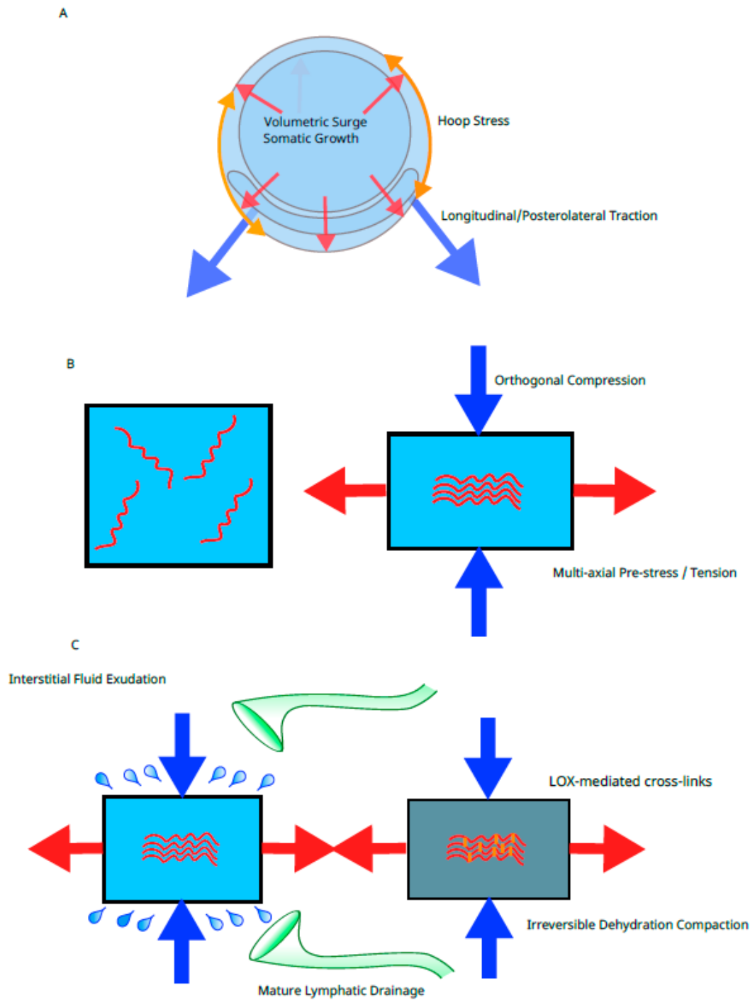 Preprints 220360 g004 Preprints 220360 g004