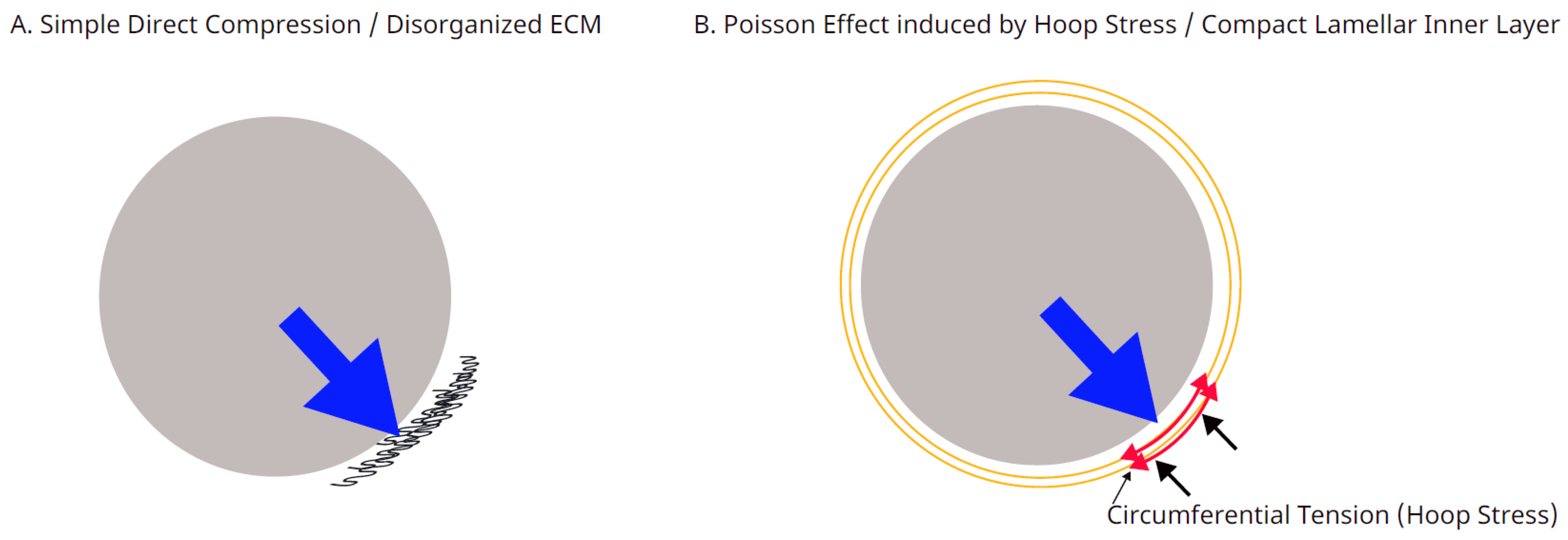 Preprints 206451 g001