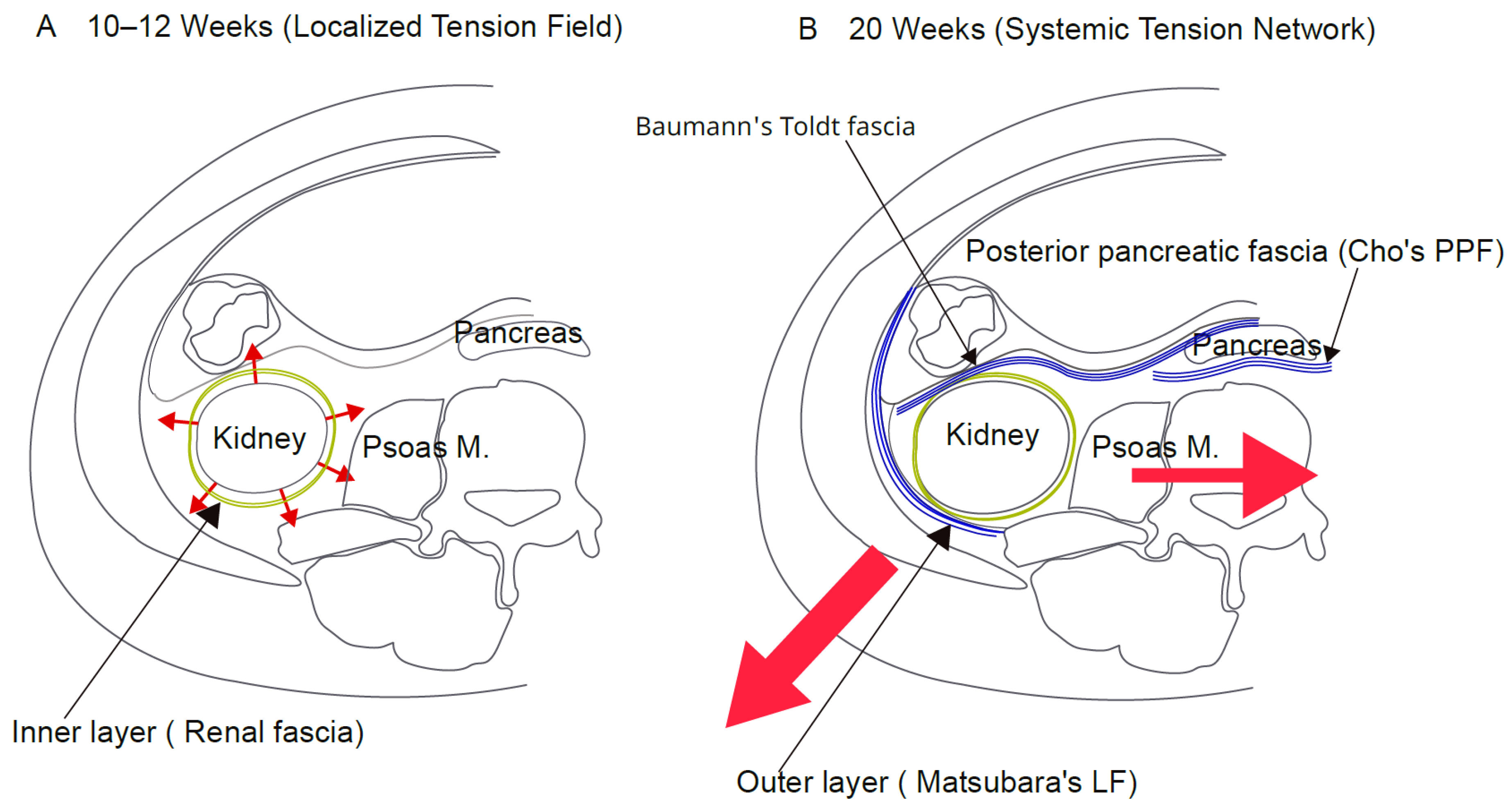 Preprints 206451 g002