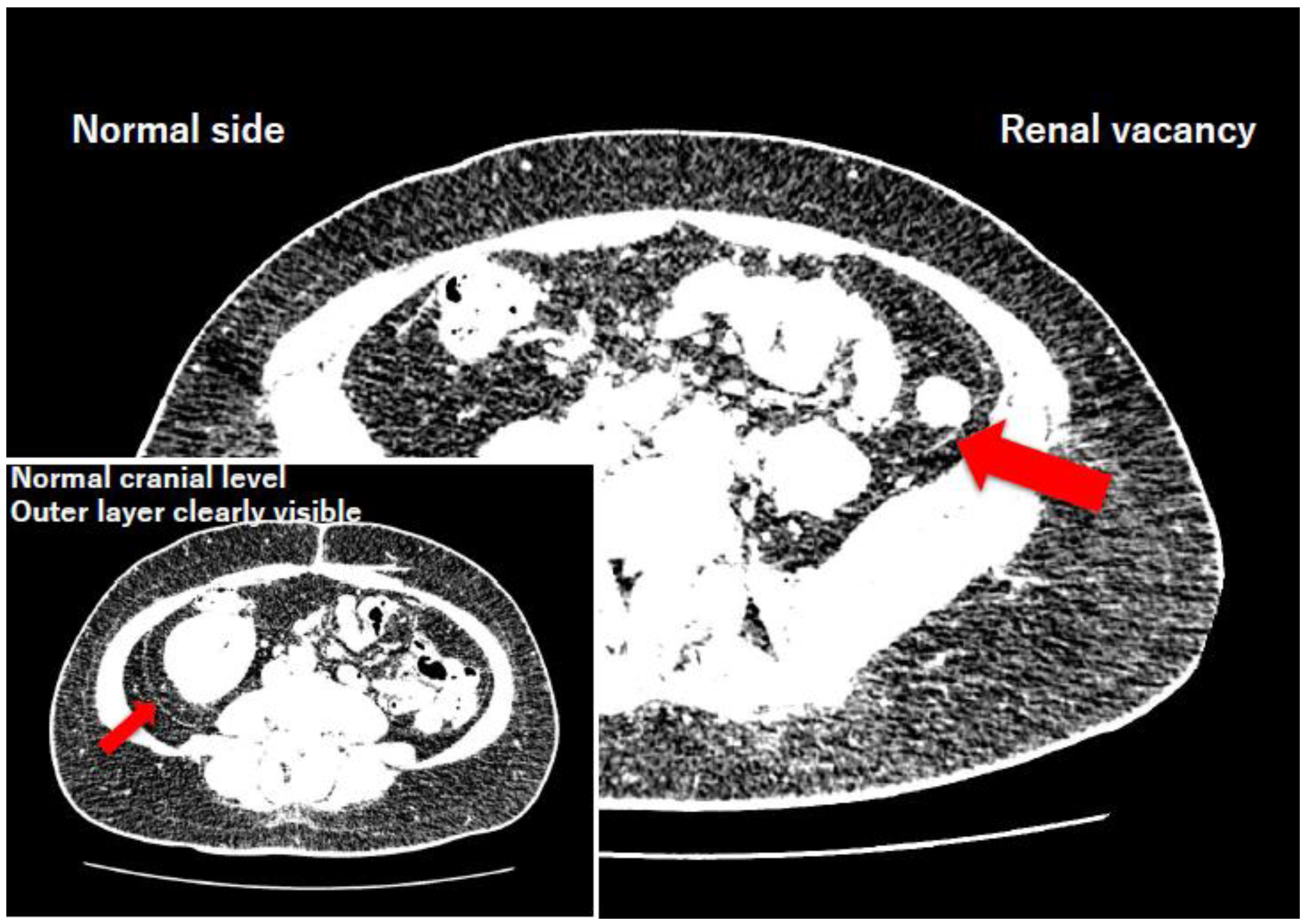 Preprints 206451 g005
