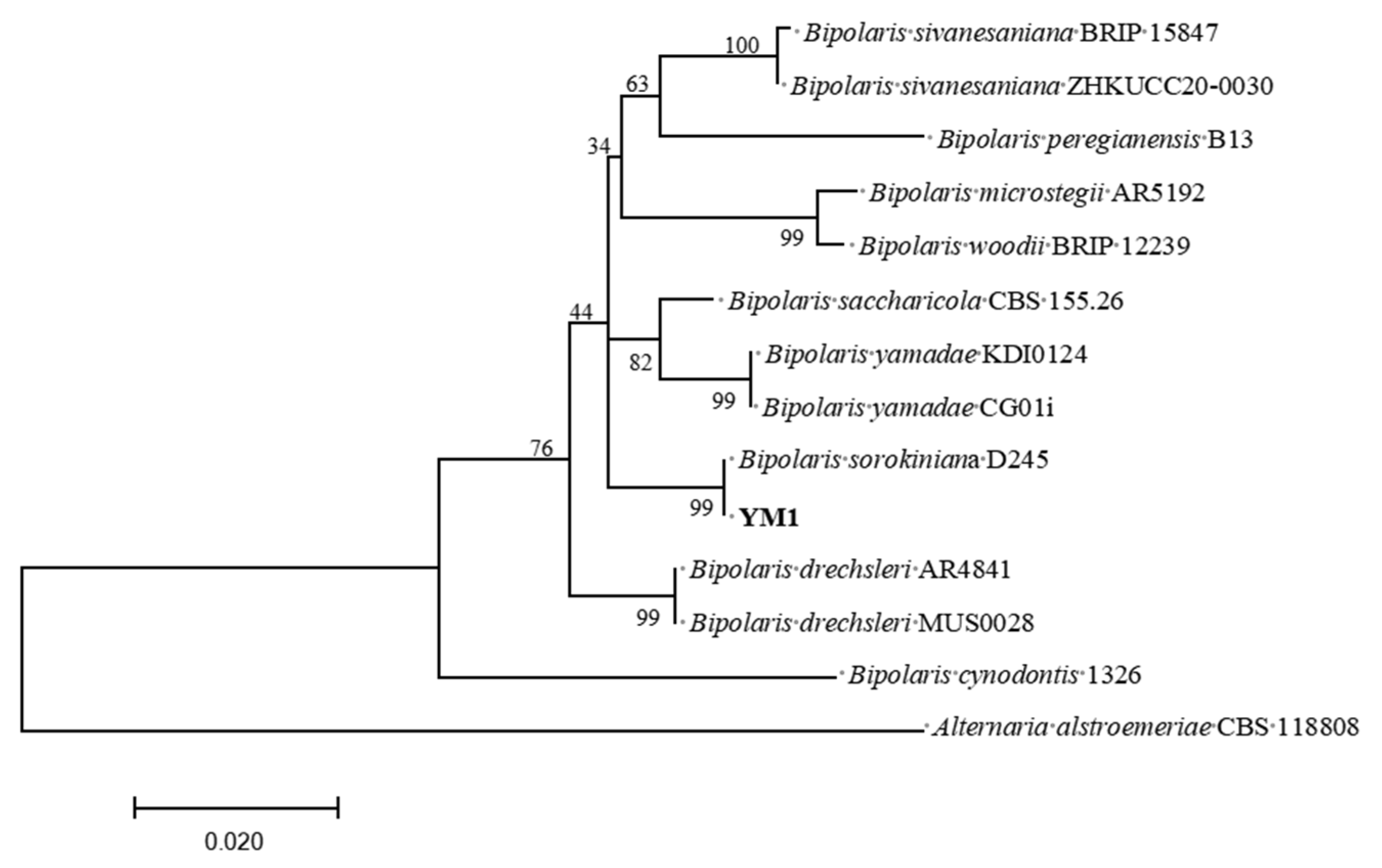 Preprints 200782 g003