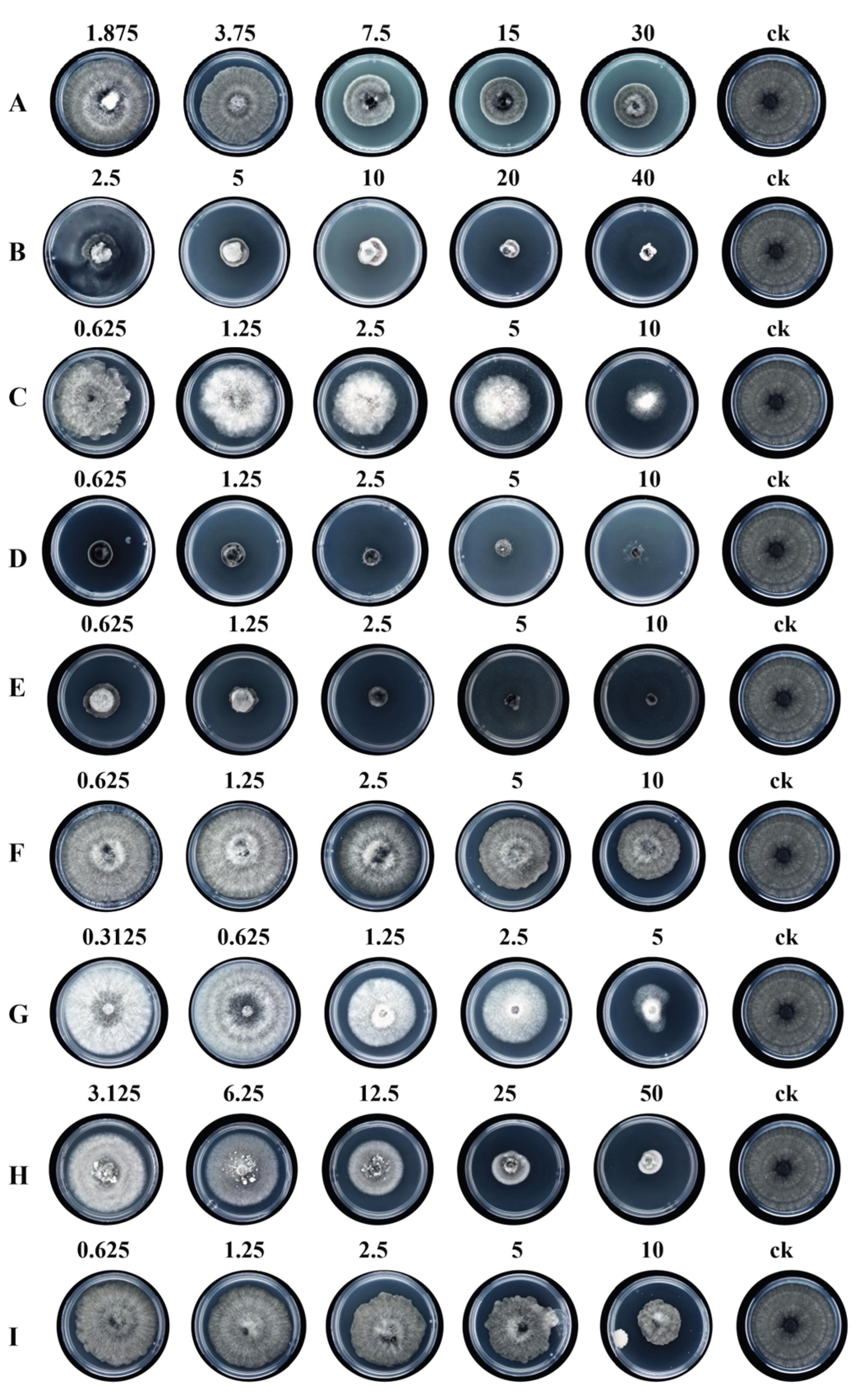 Preprints 200782 g005