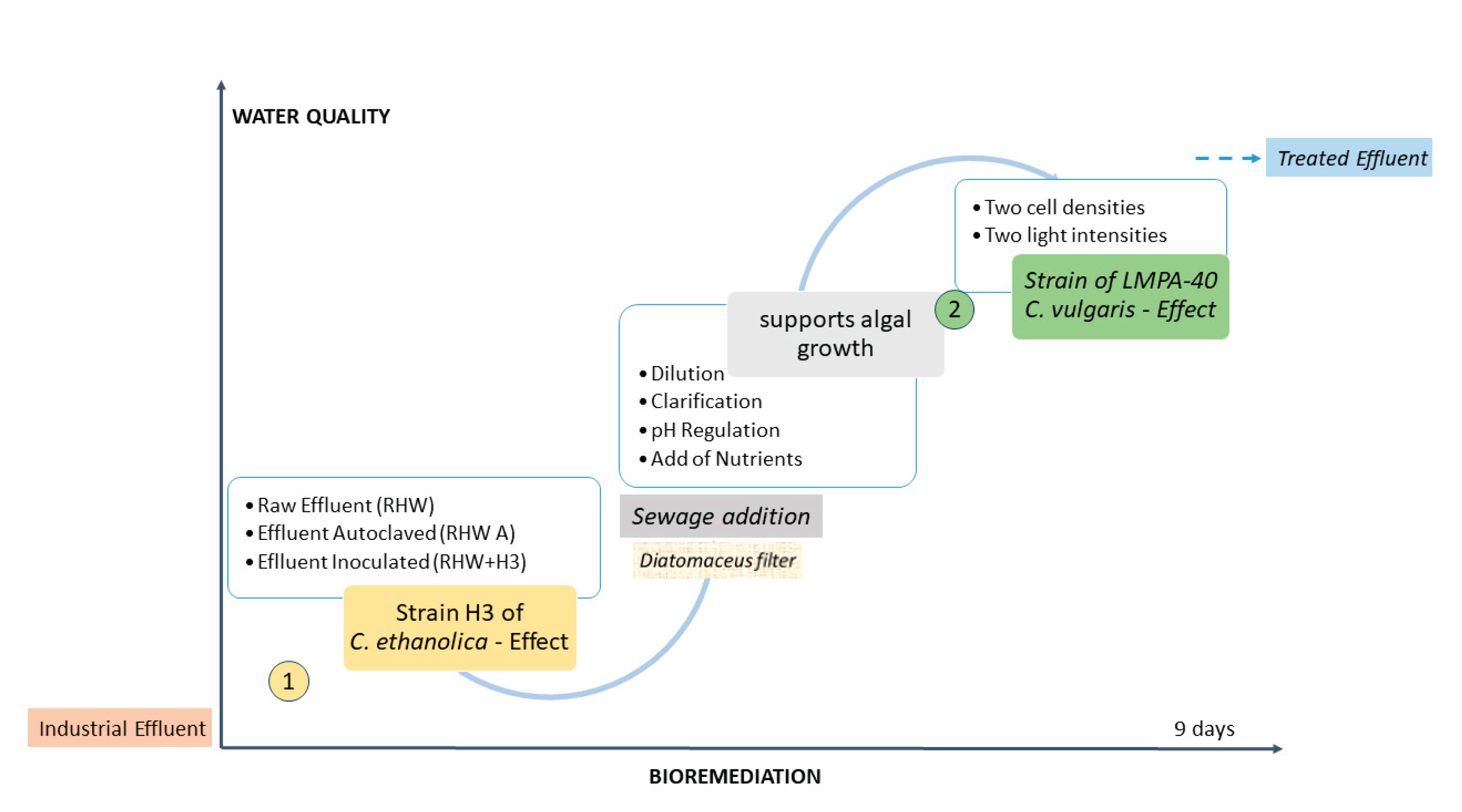 Preprints 164401 g001