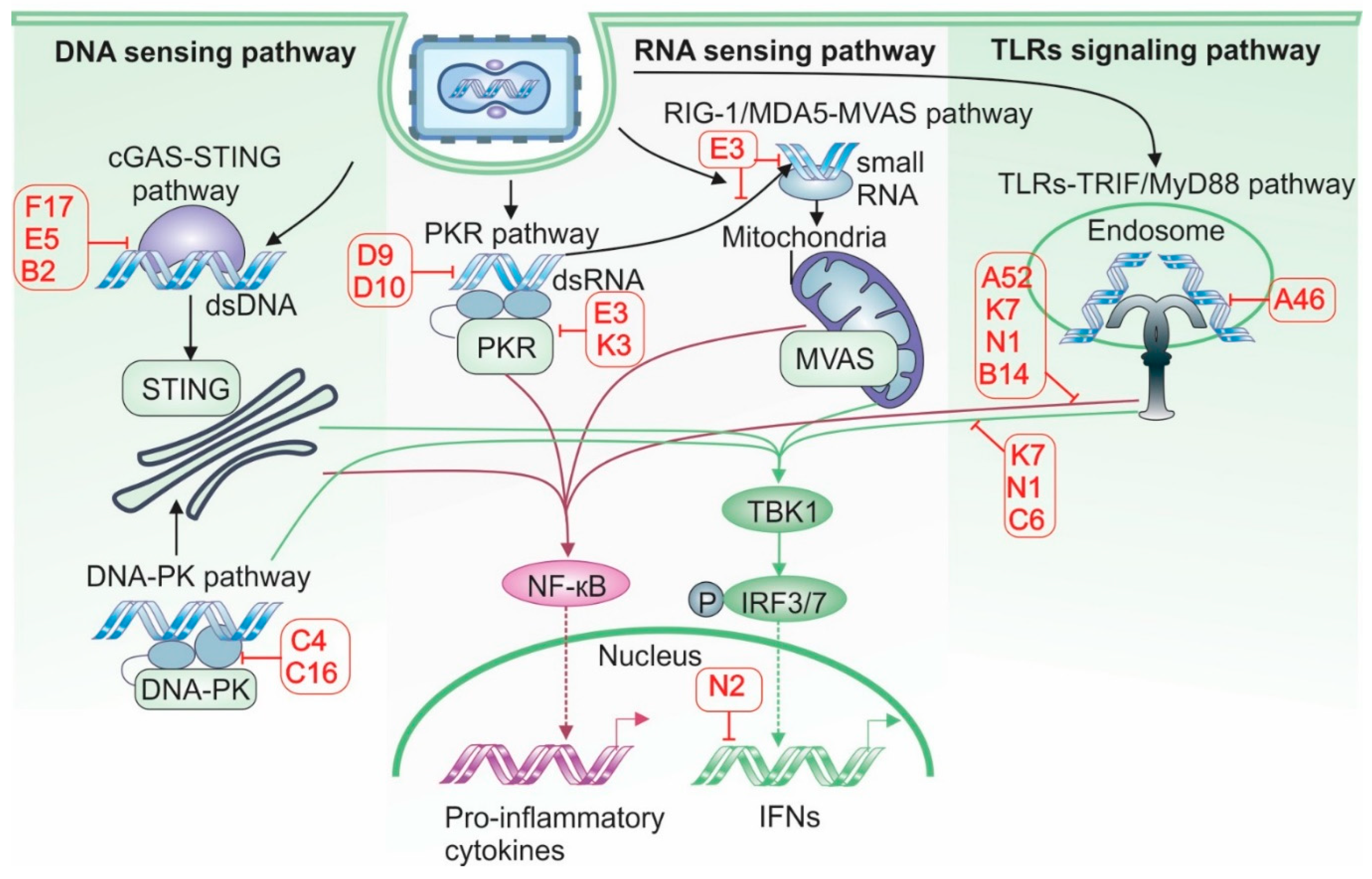 Preprints 163393 g003