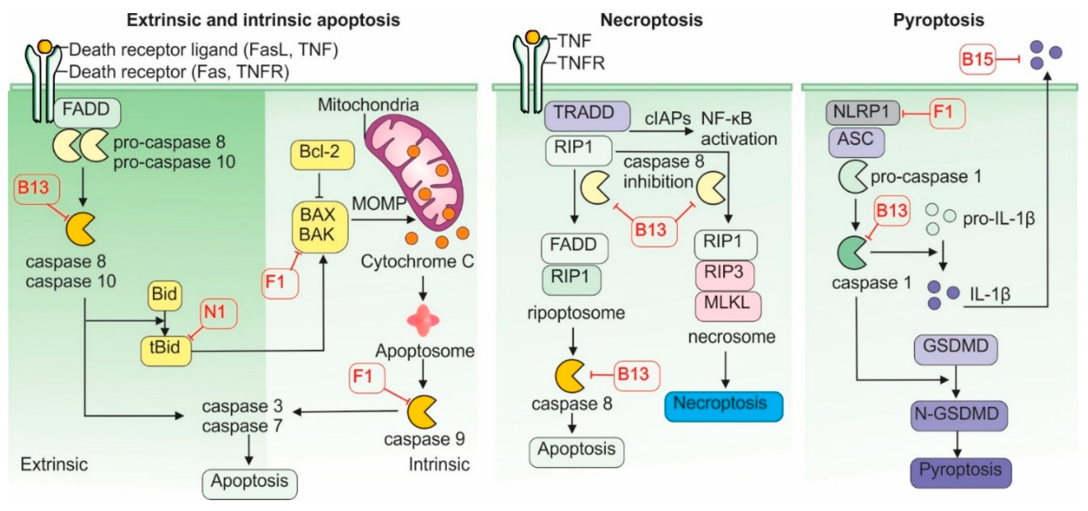 Preprints 163393 g004