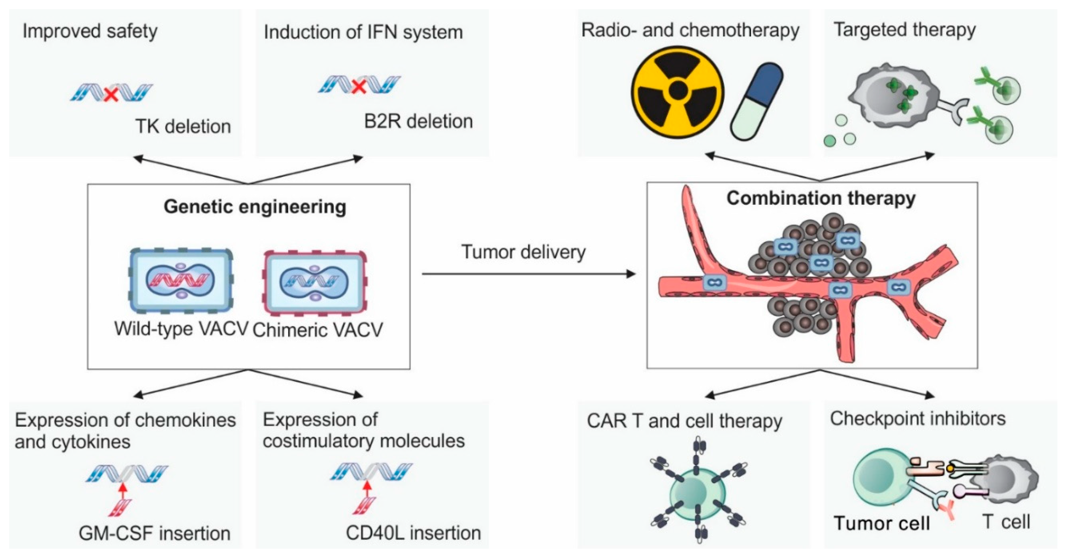 Preprints 163393 g005