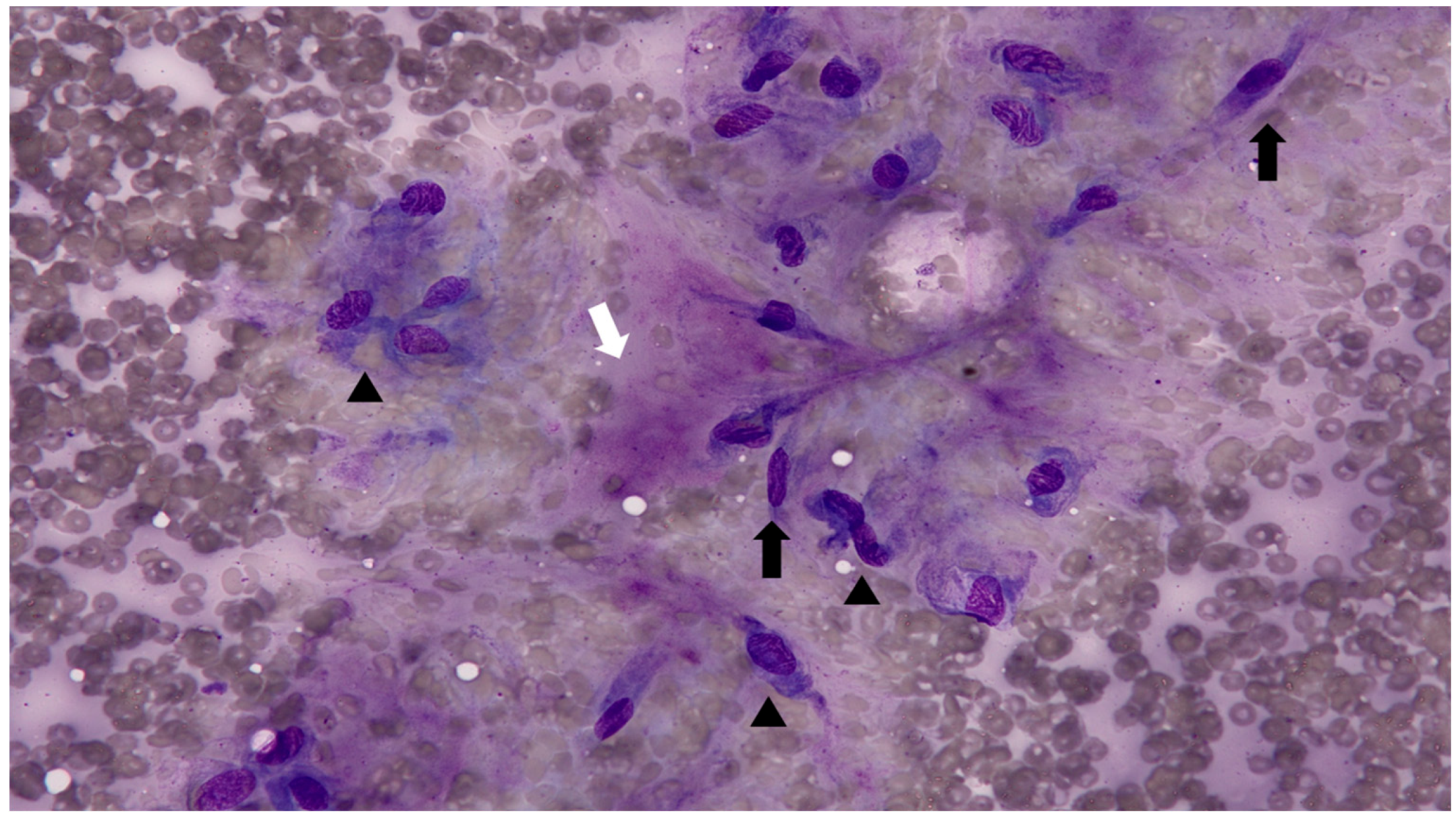 Preprints 163270 g002