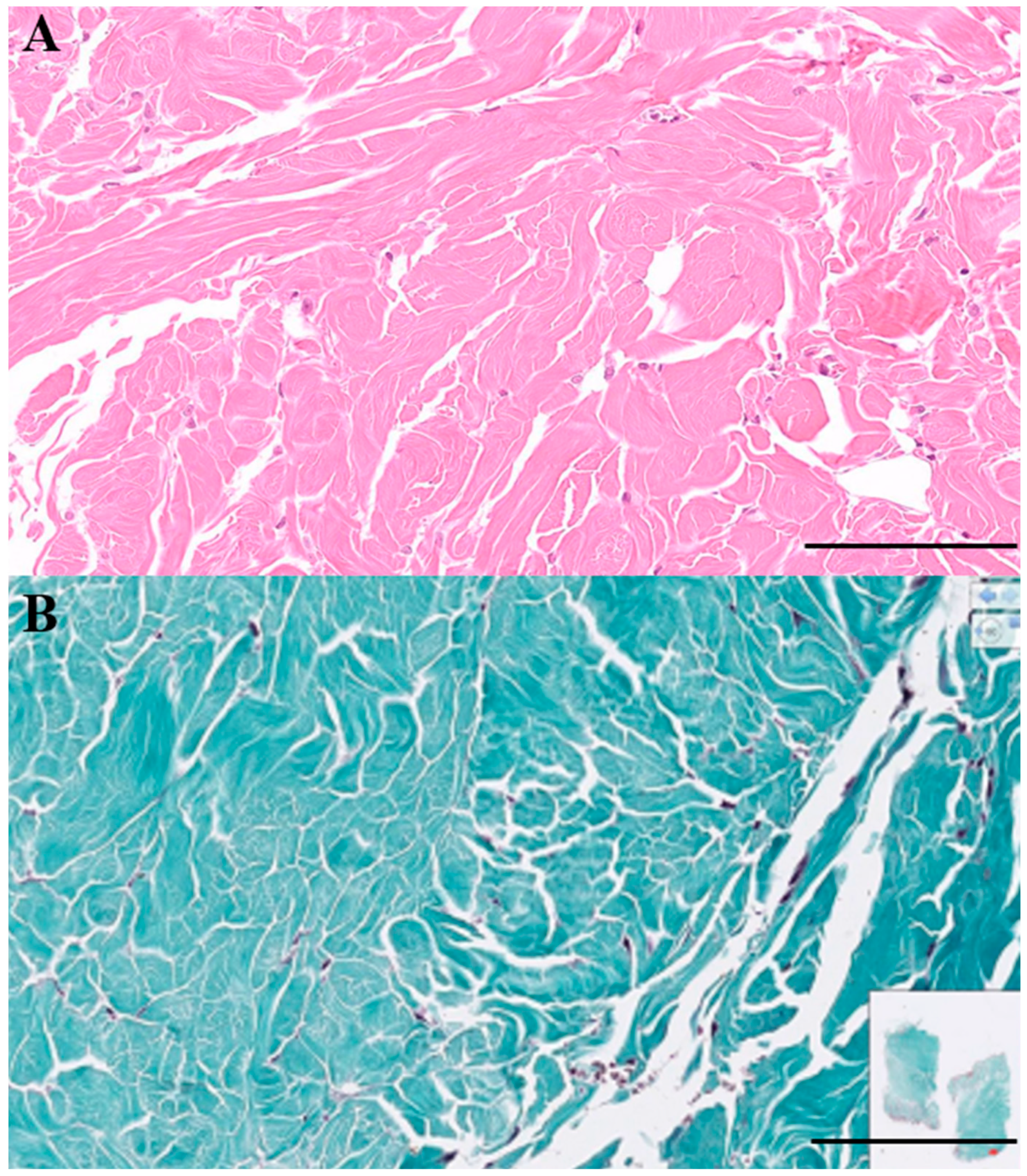 Preprints 163270 g003
