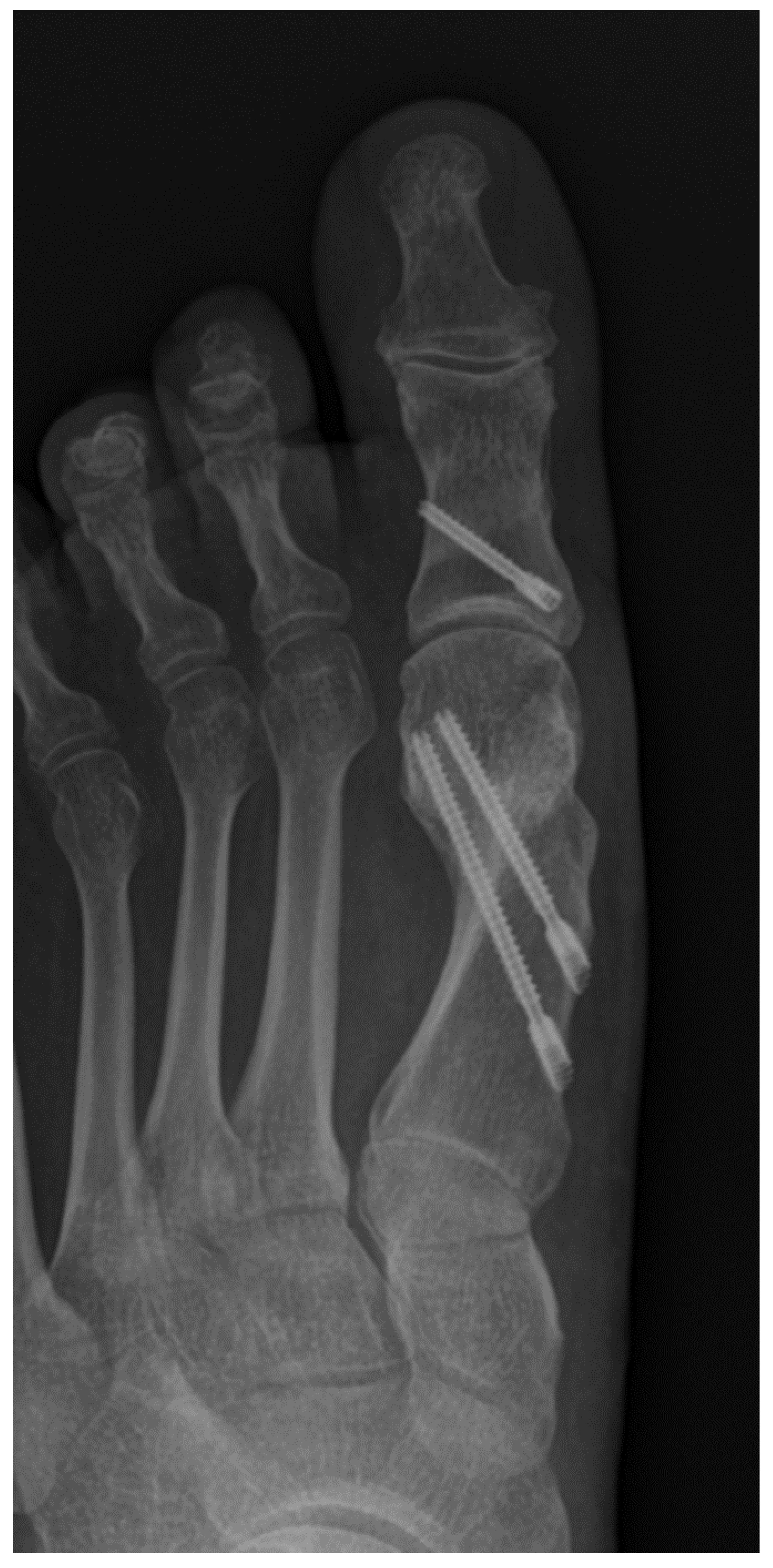 Preprints 195875 g001