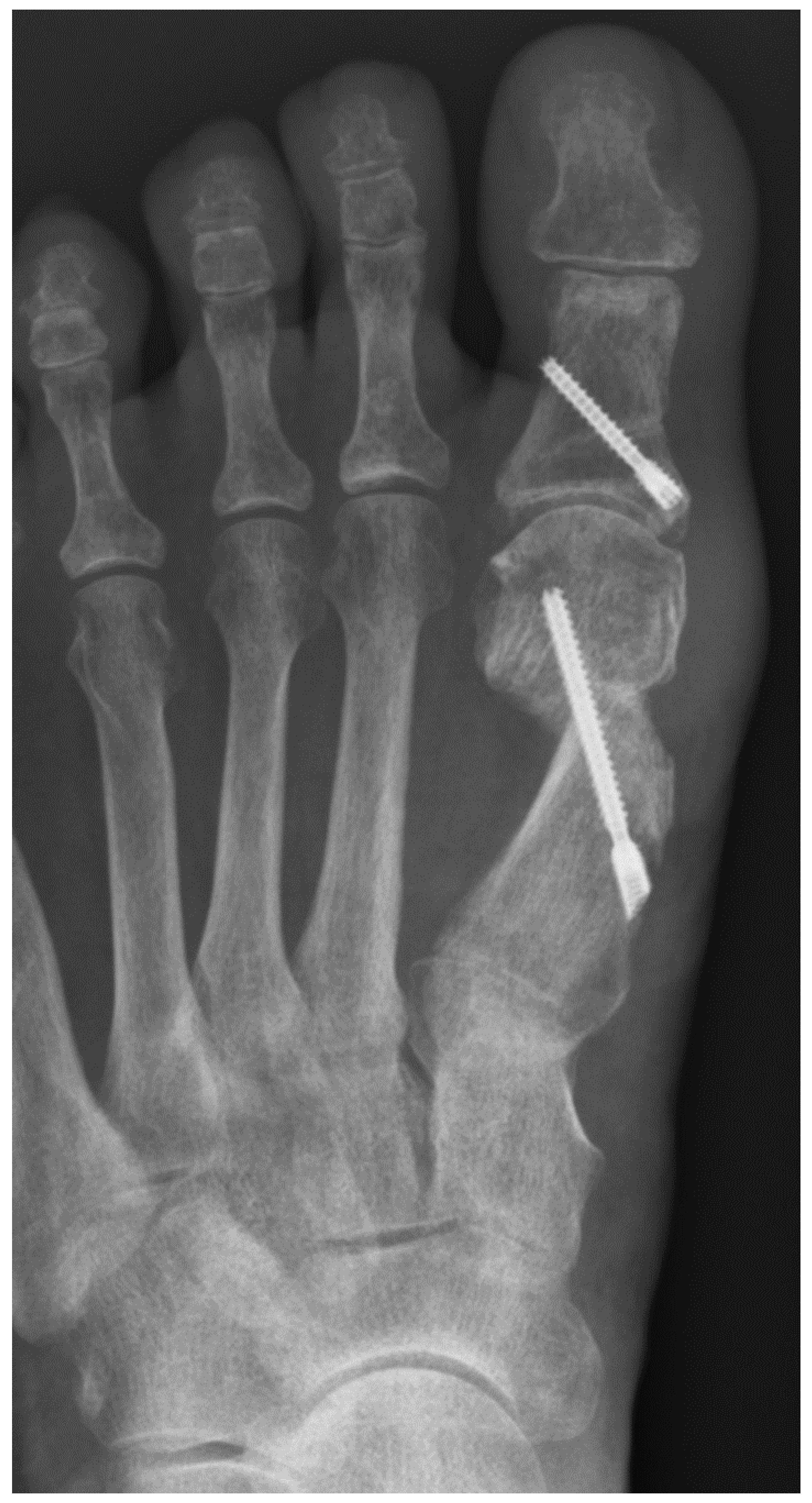 Preprints 195875 g002