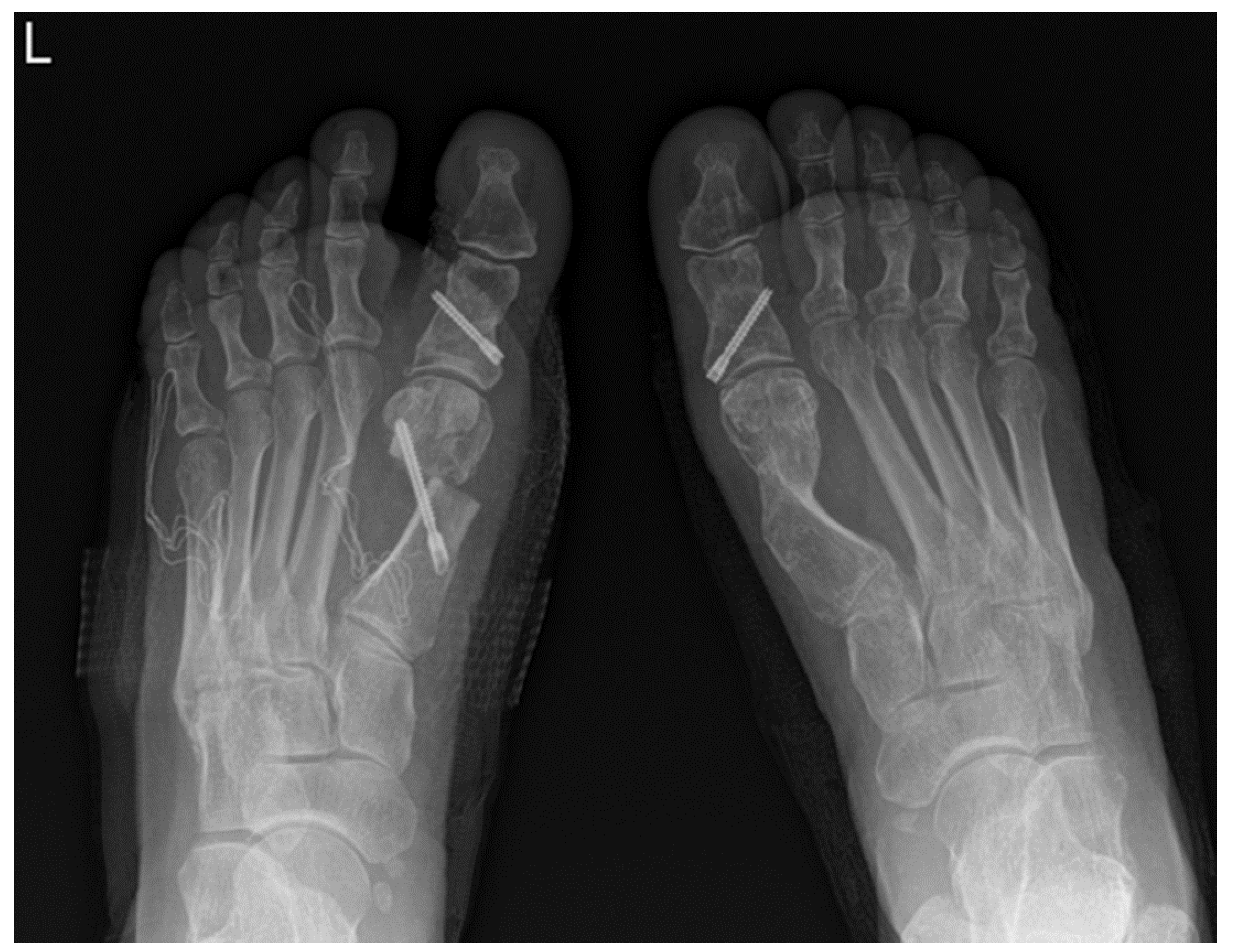 Preprints 195875 g003