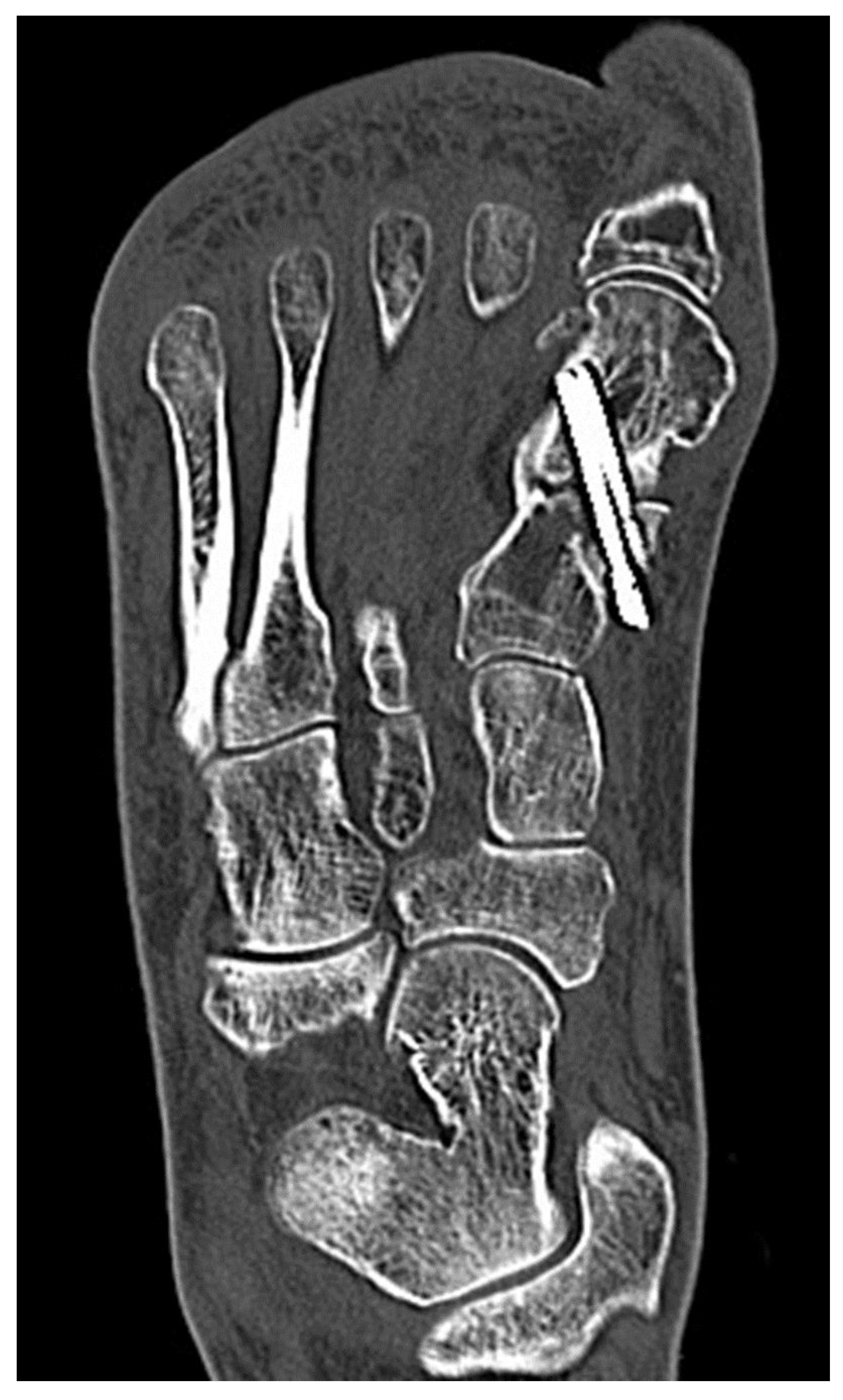 Preprints 195875 g005