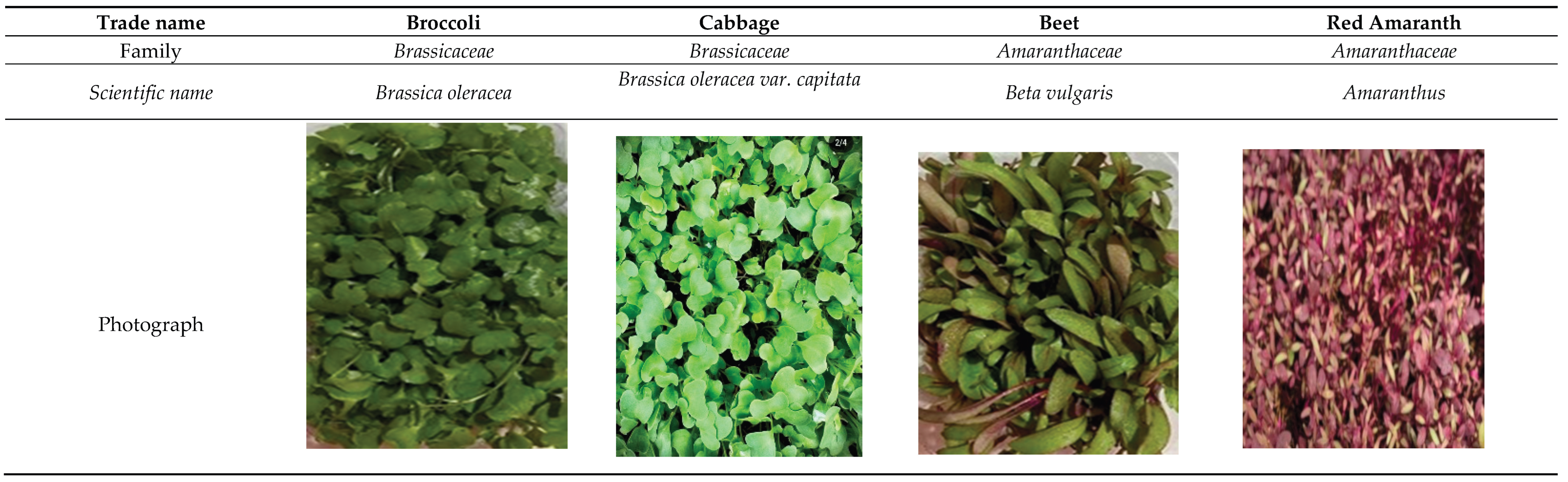 Preprints 181688 i001