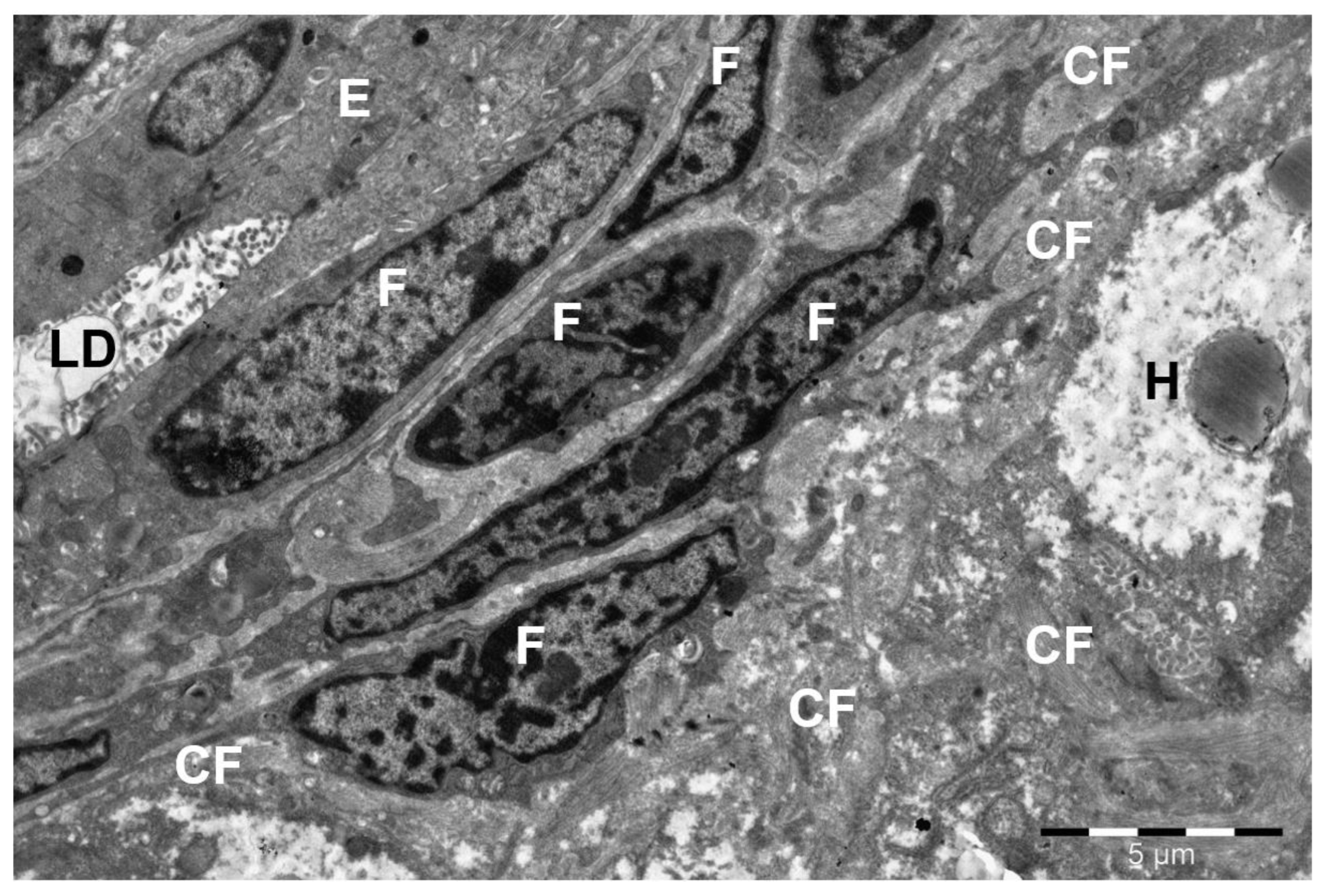 Preprints 172017 g001