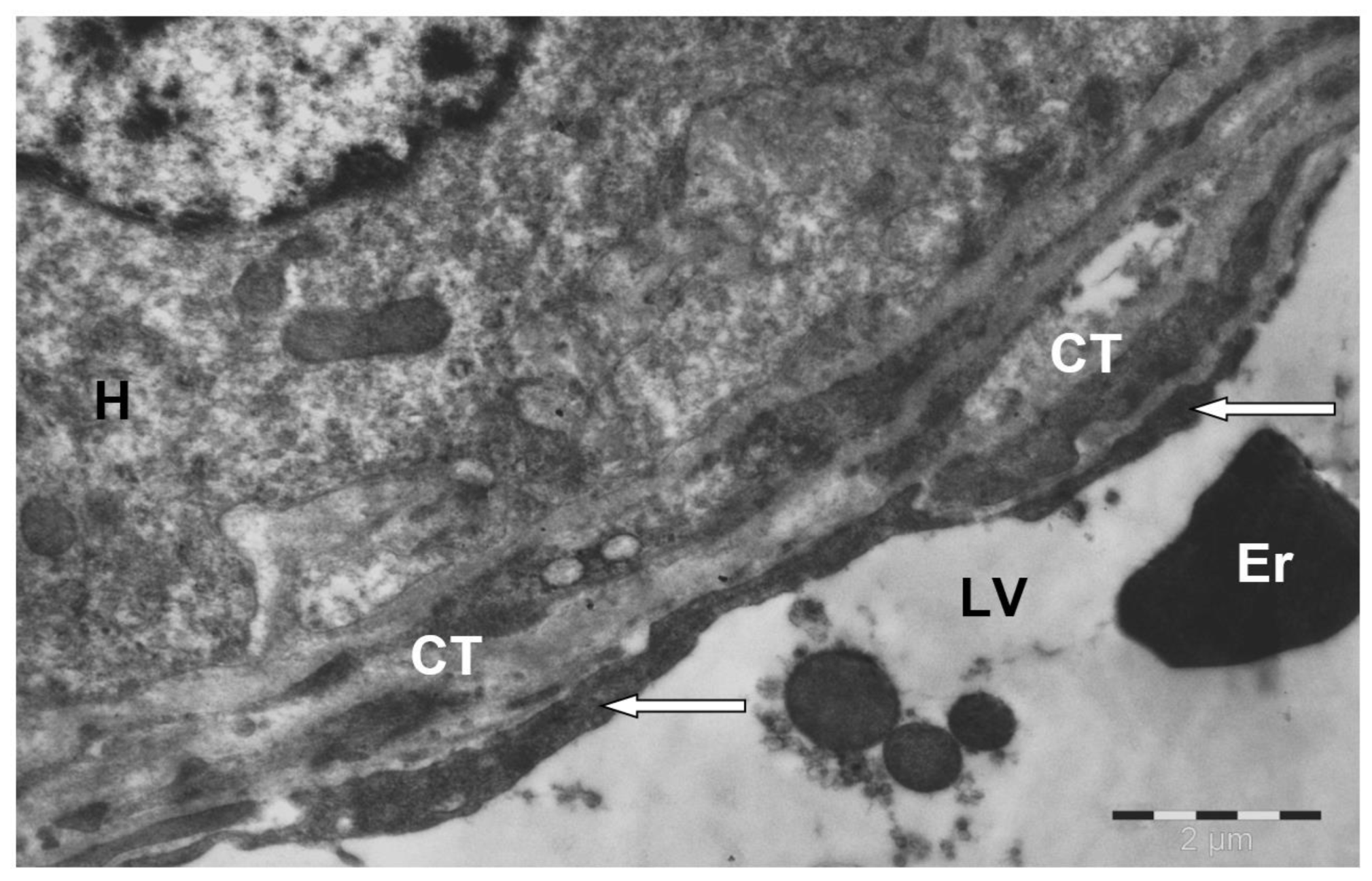 Preprints 172017 g003