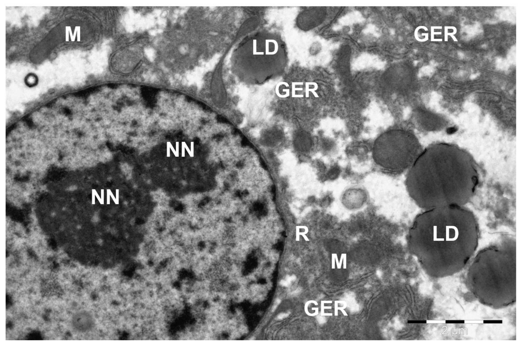Preprints 172017 g007